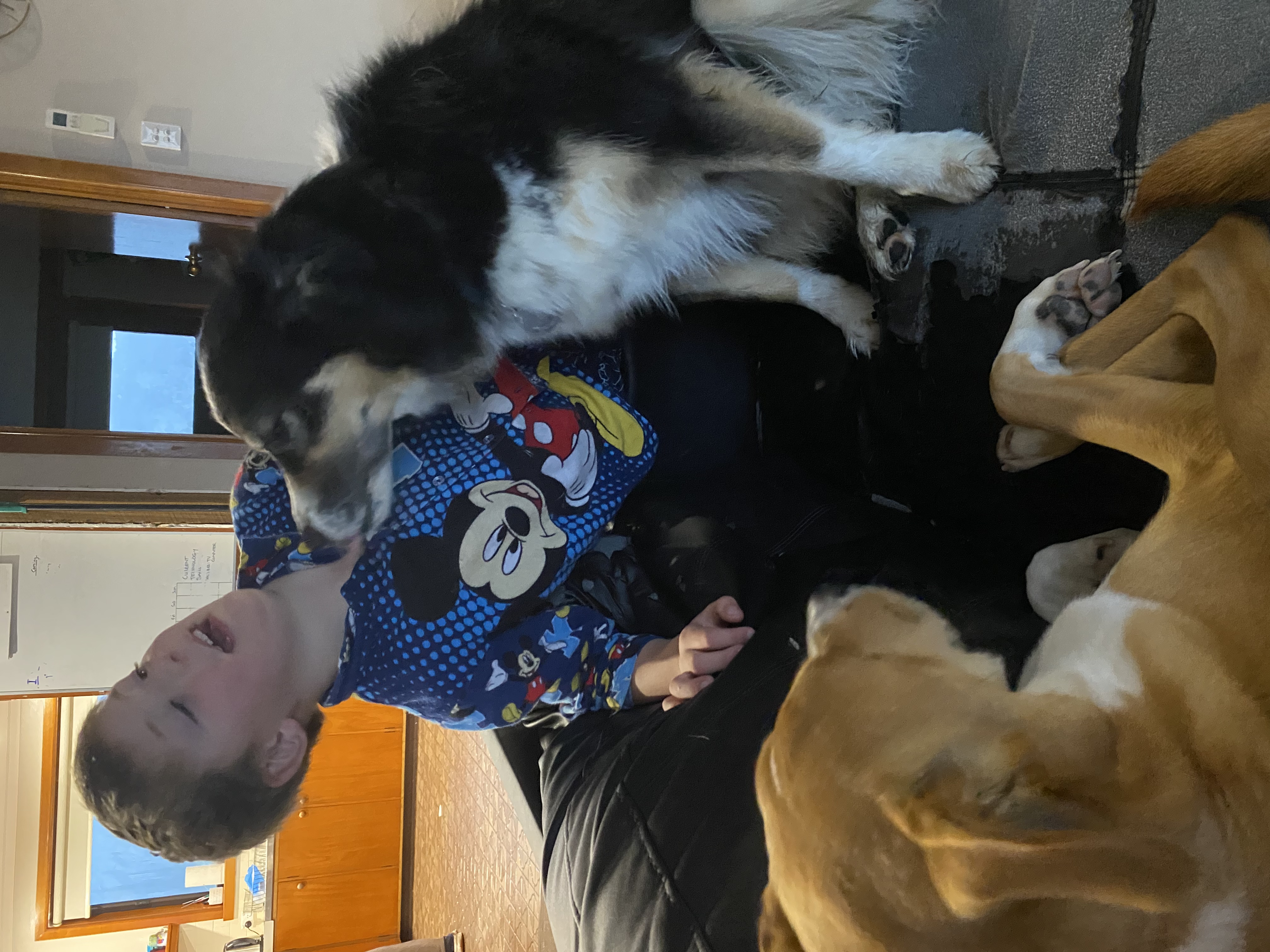 image-15
