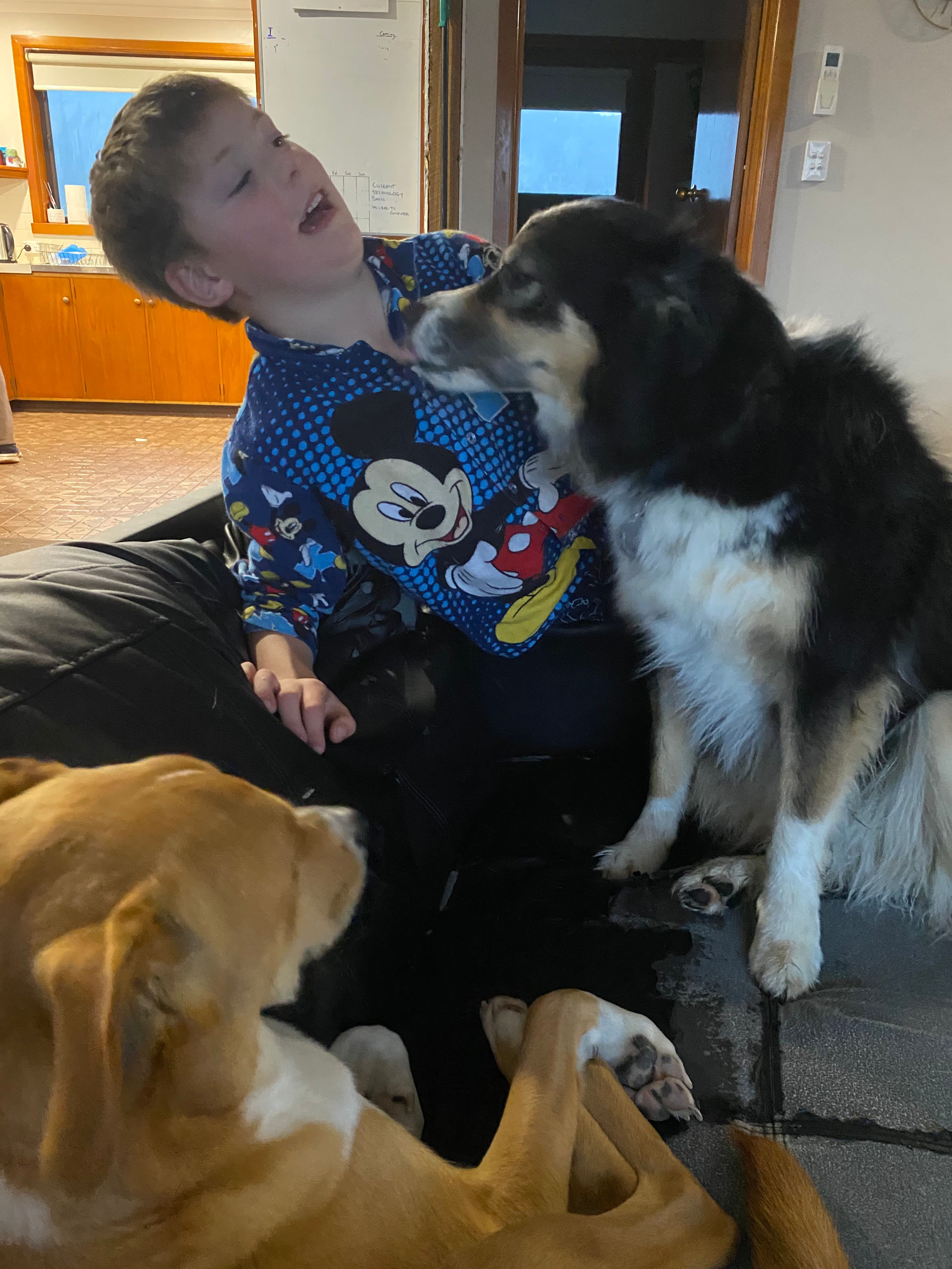 image-15