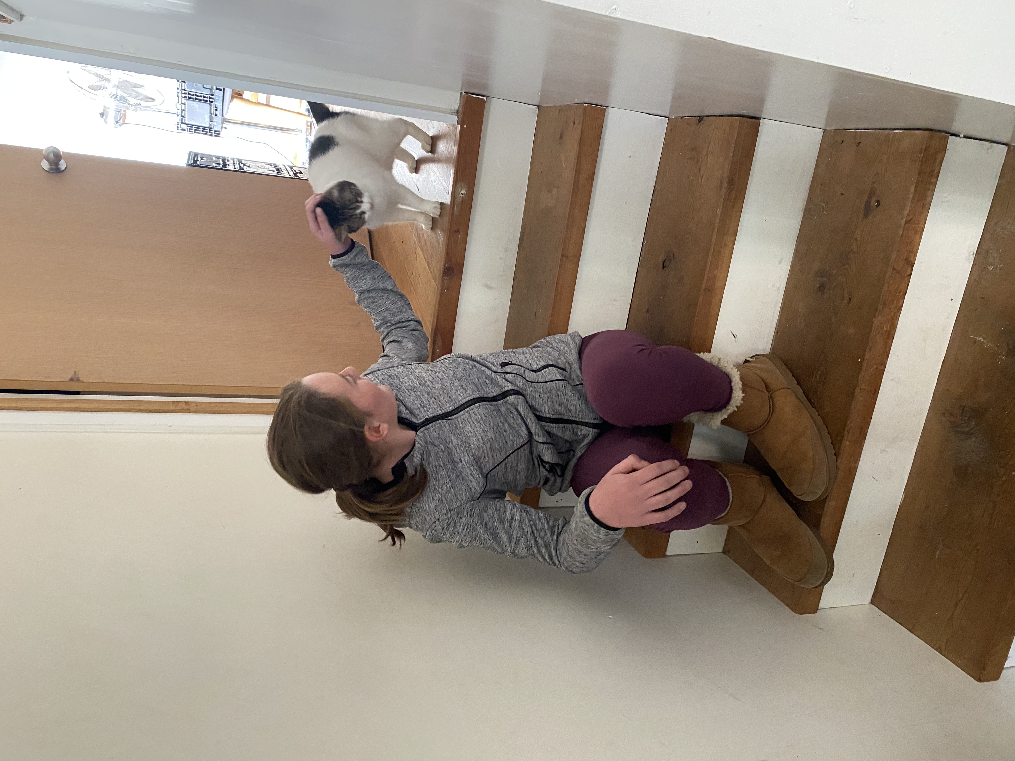 image-11