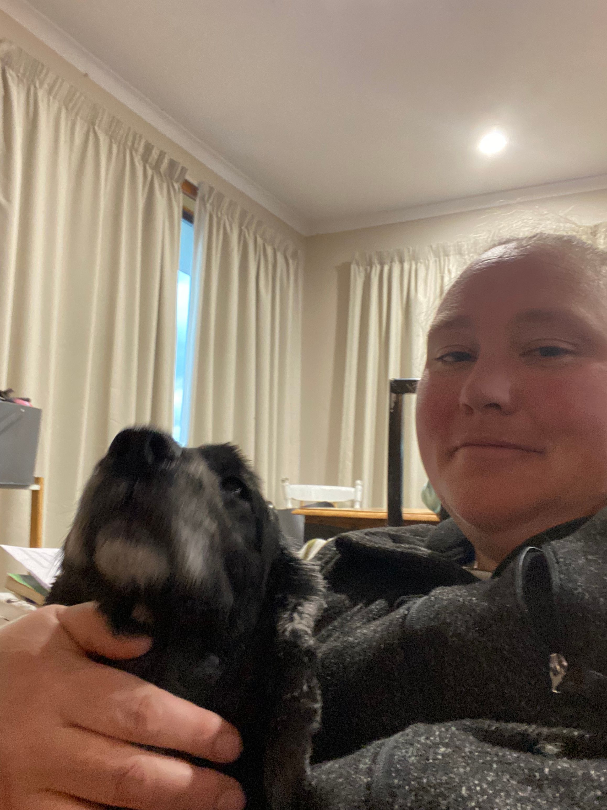 image-19