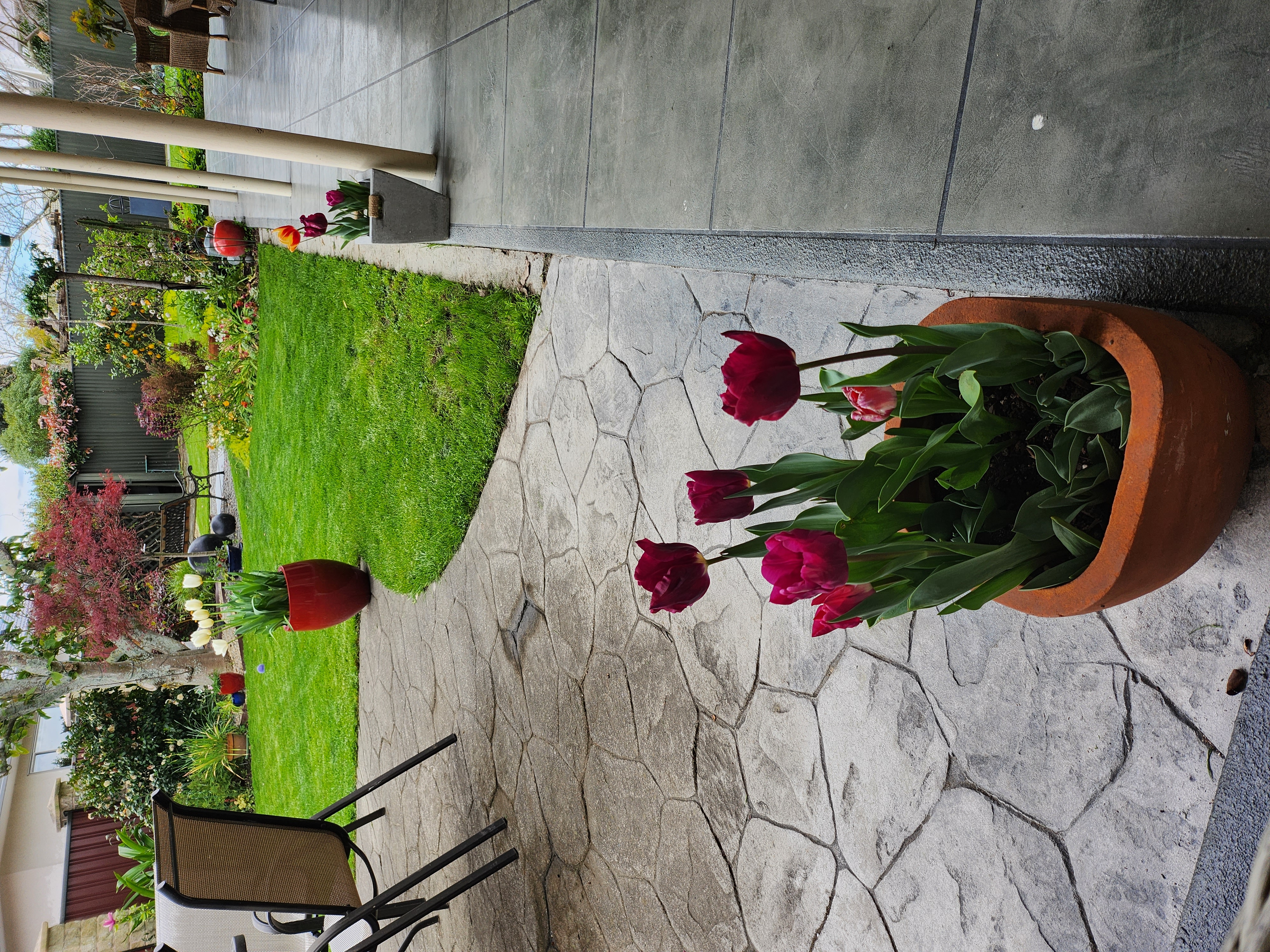 image-11
