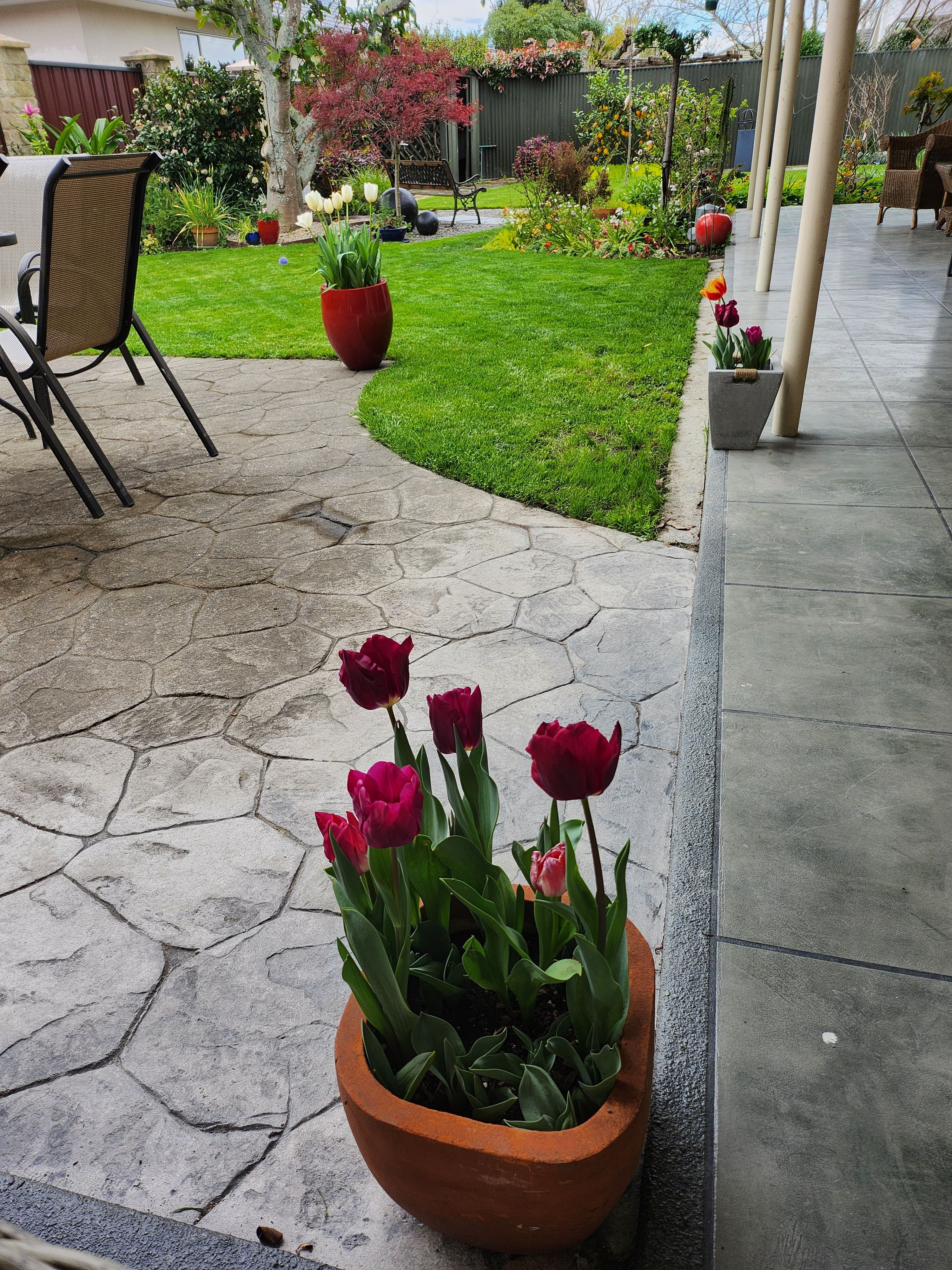 image-11