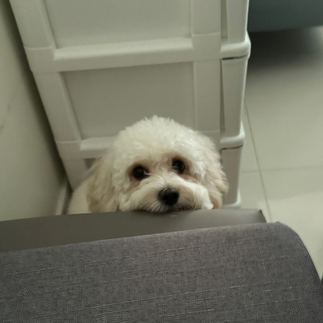 Qianqian