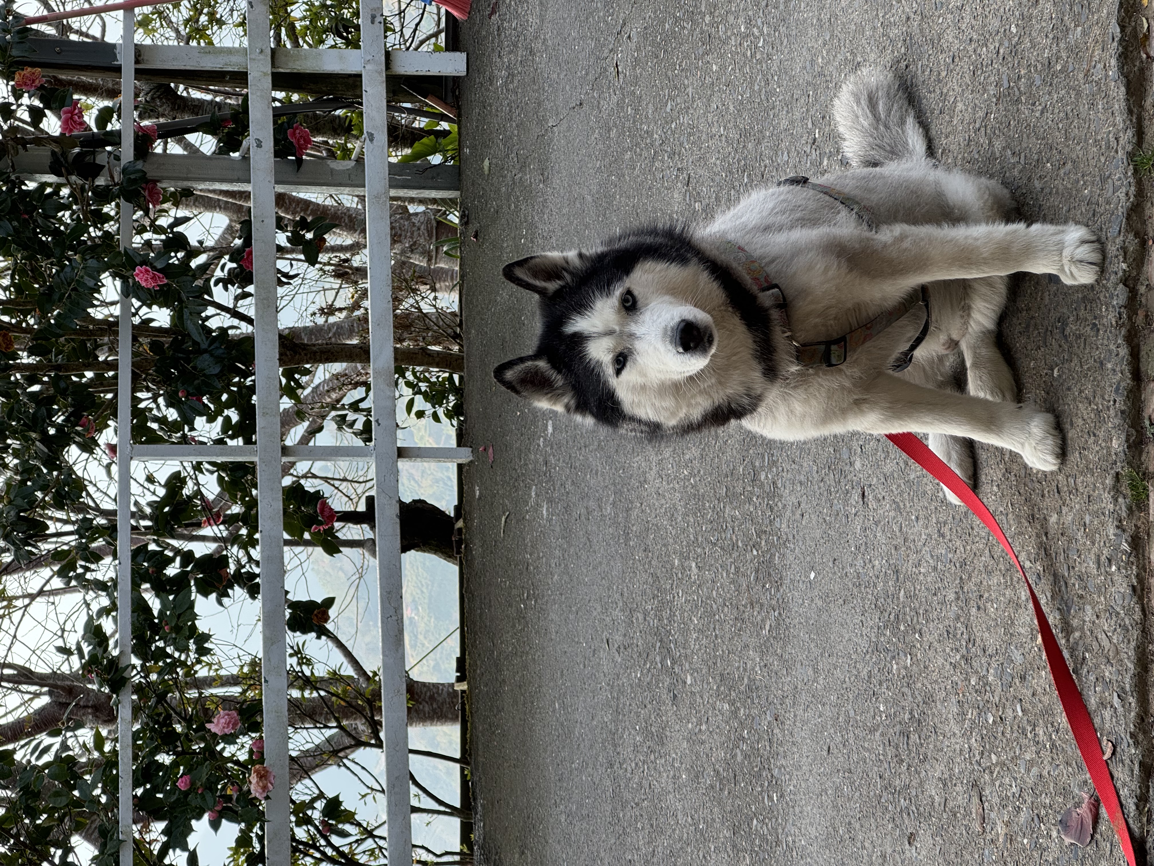 image-10