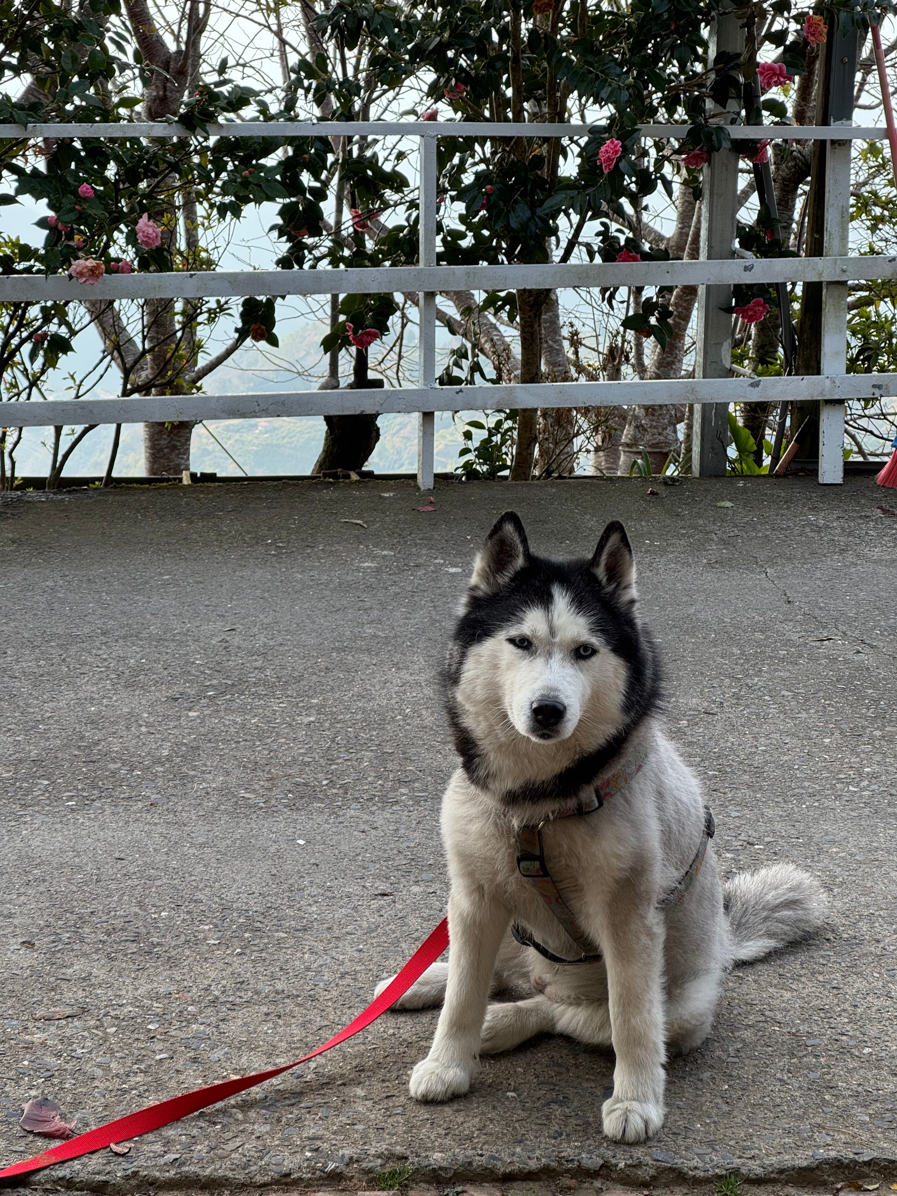 image-10