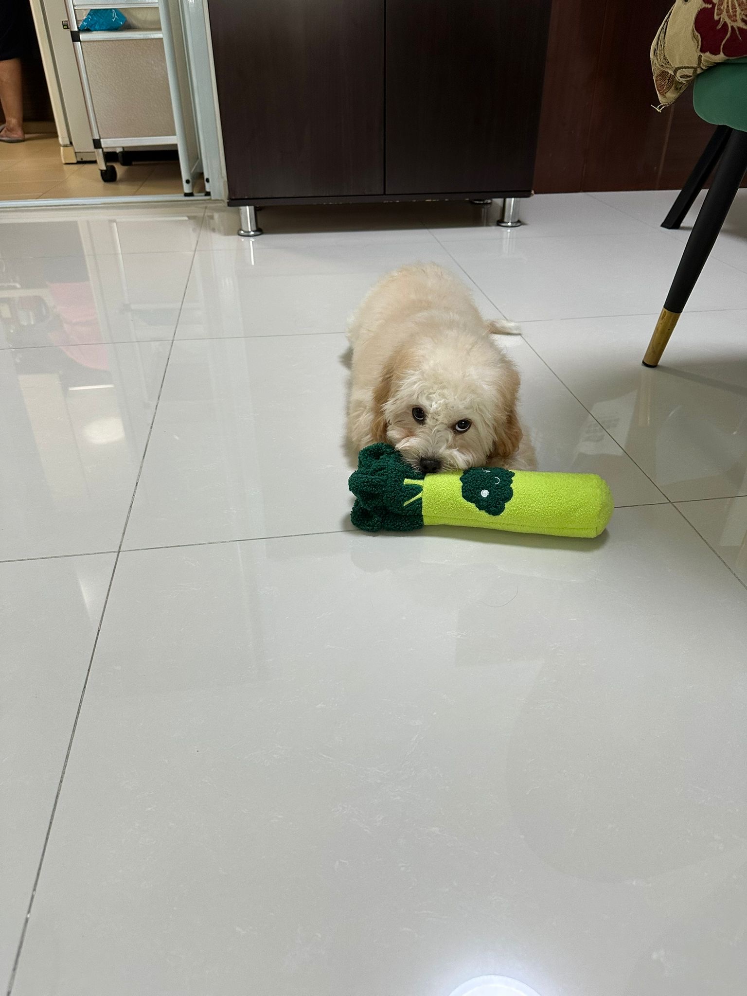 image-6