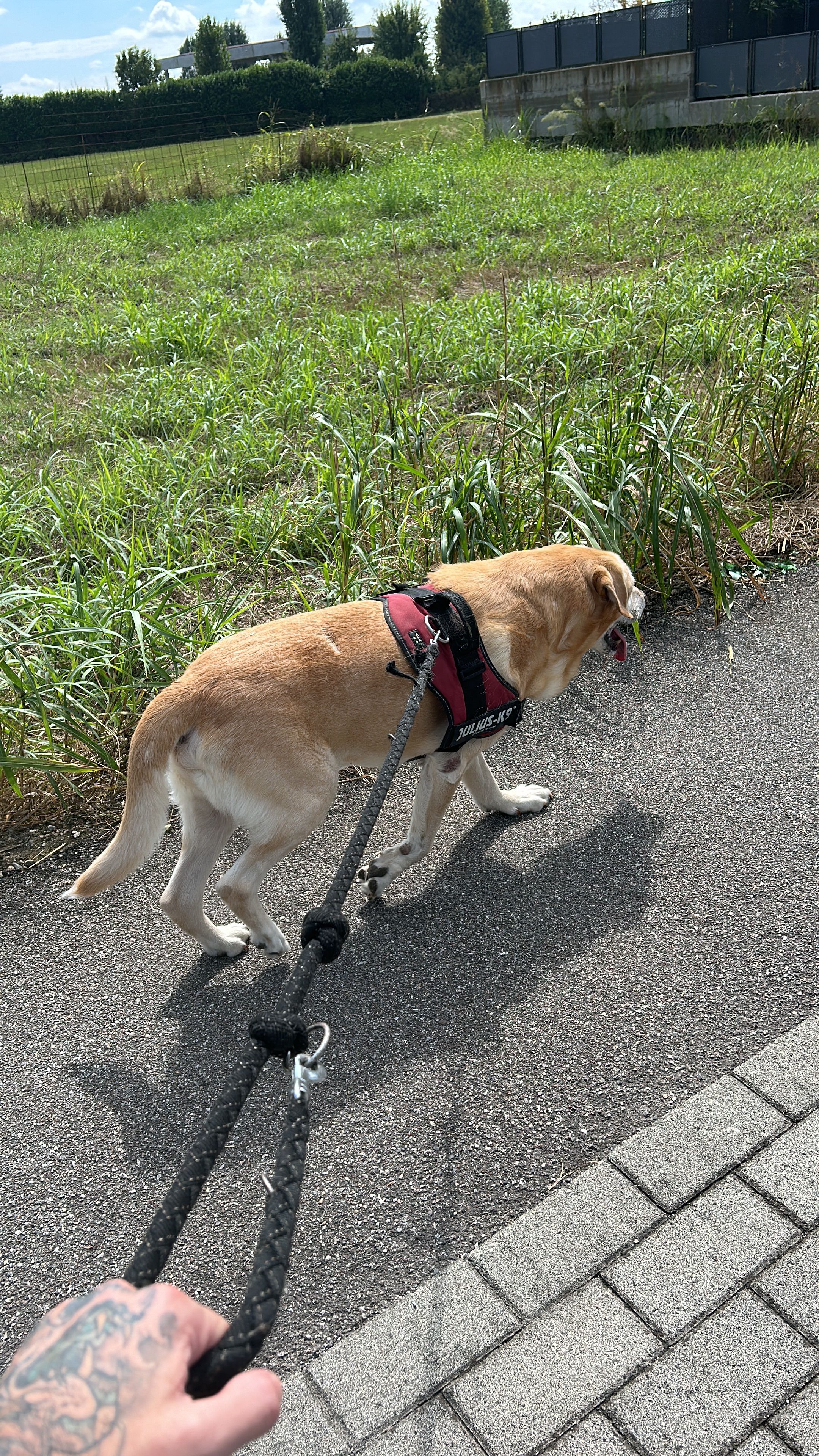 image-22