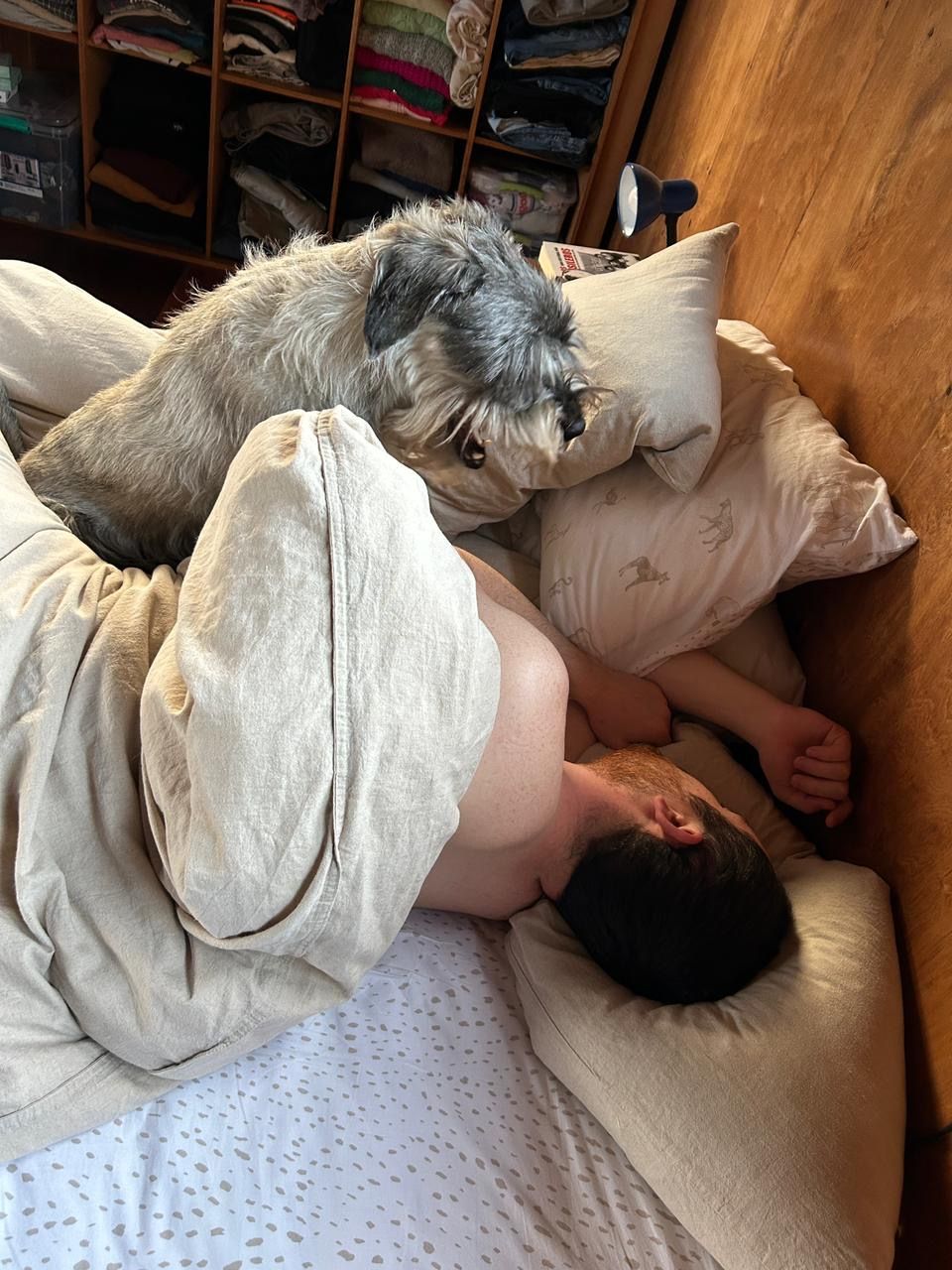 image-12