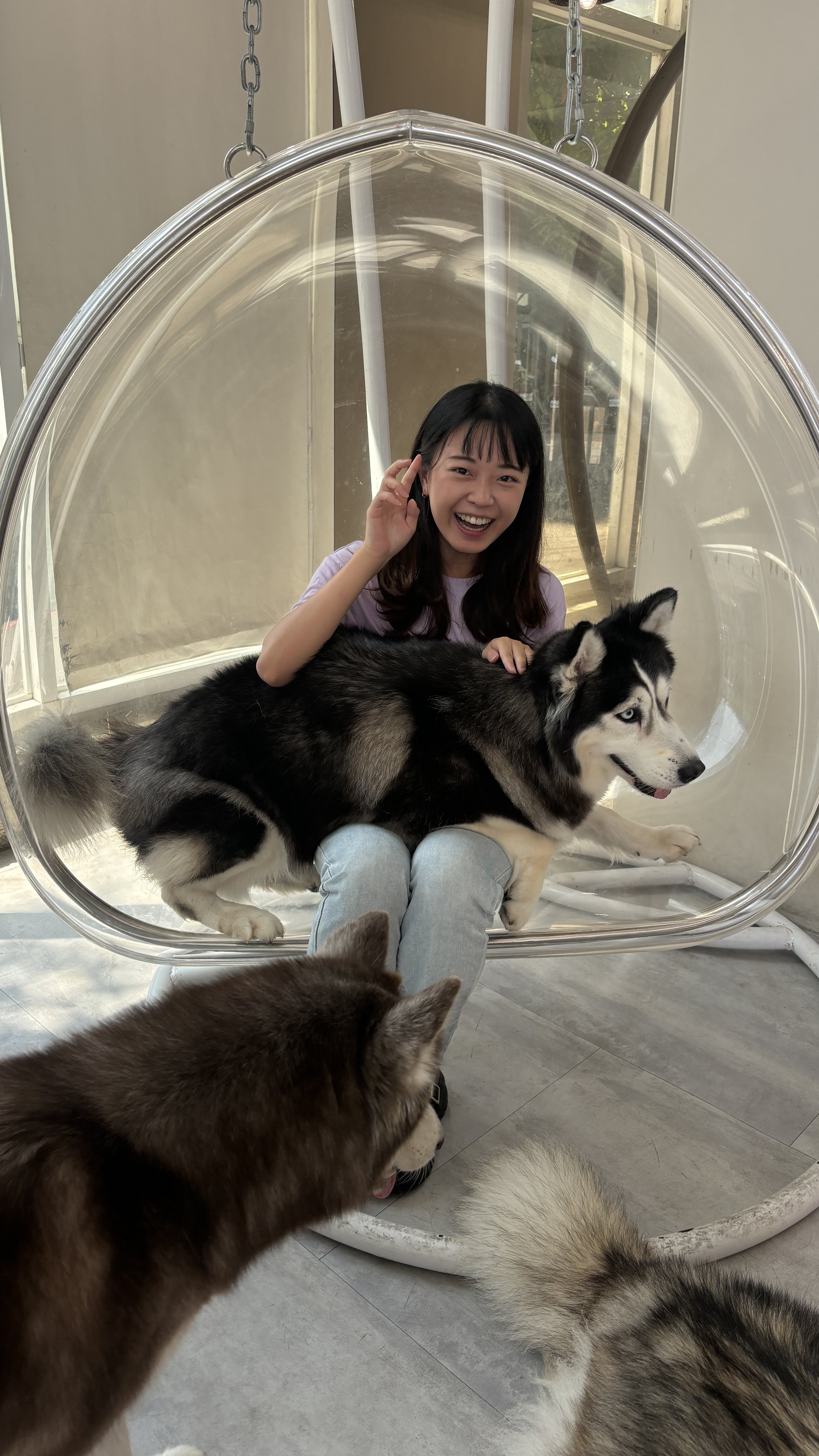 image-6