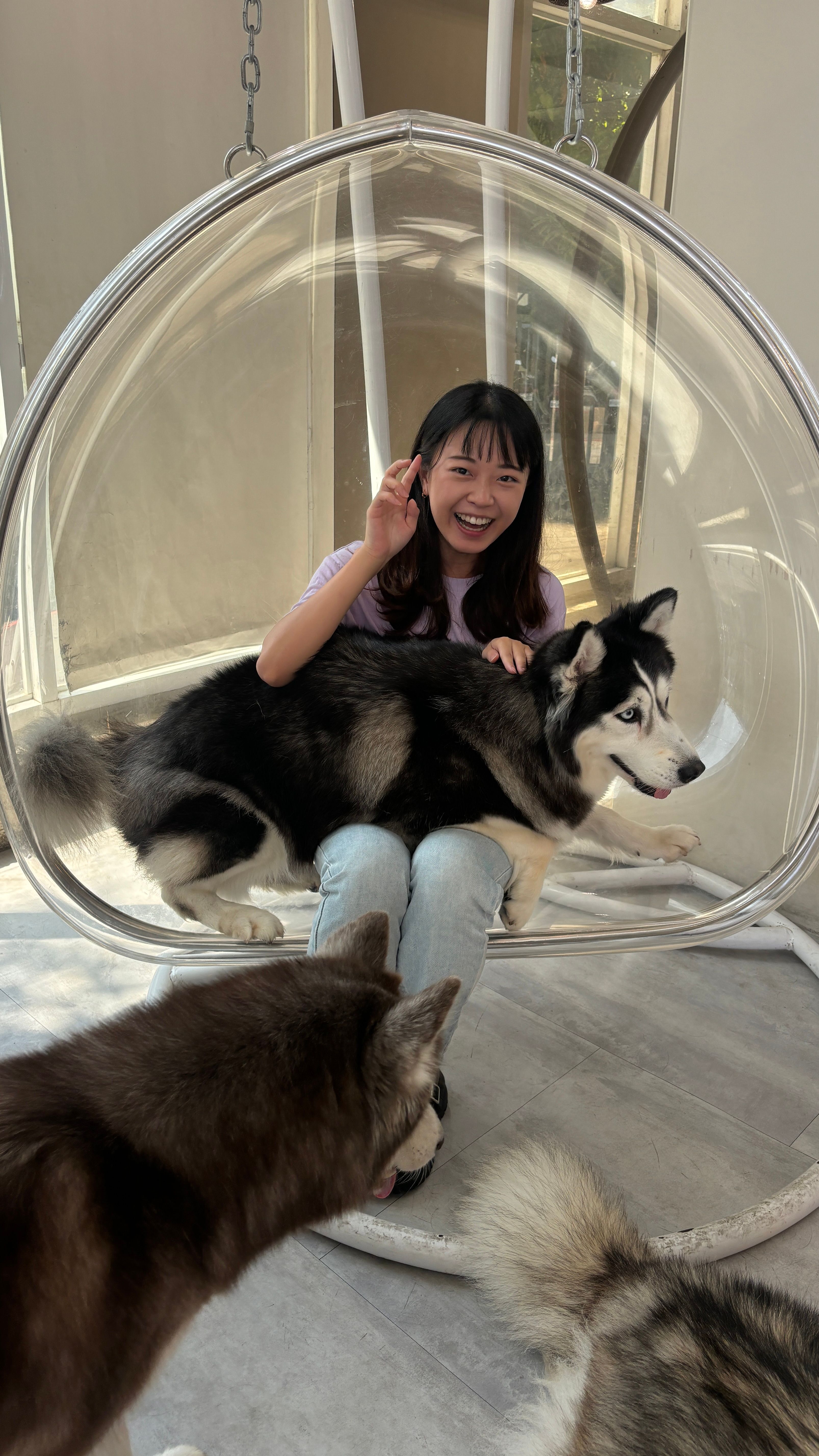 image-6