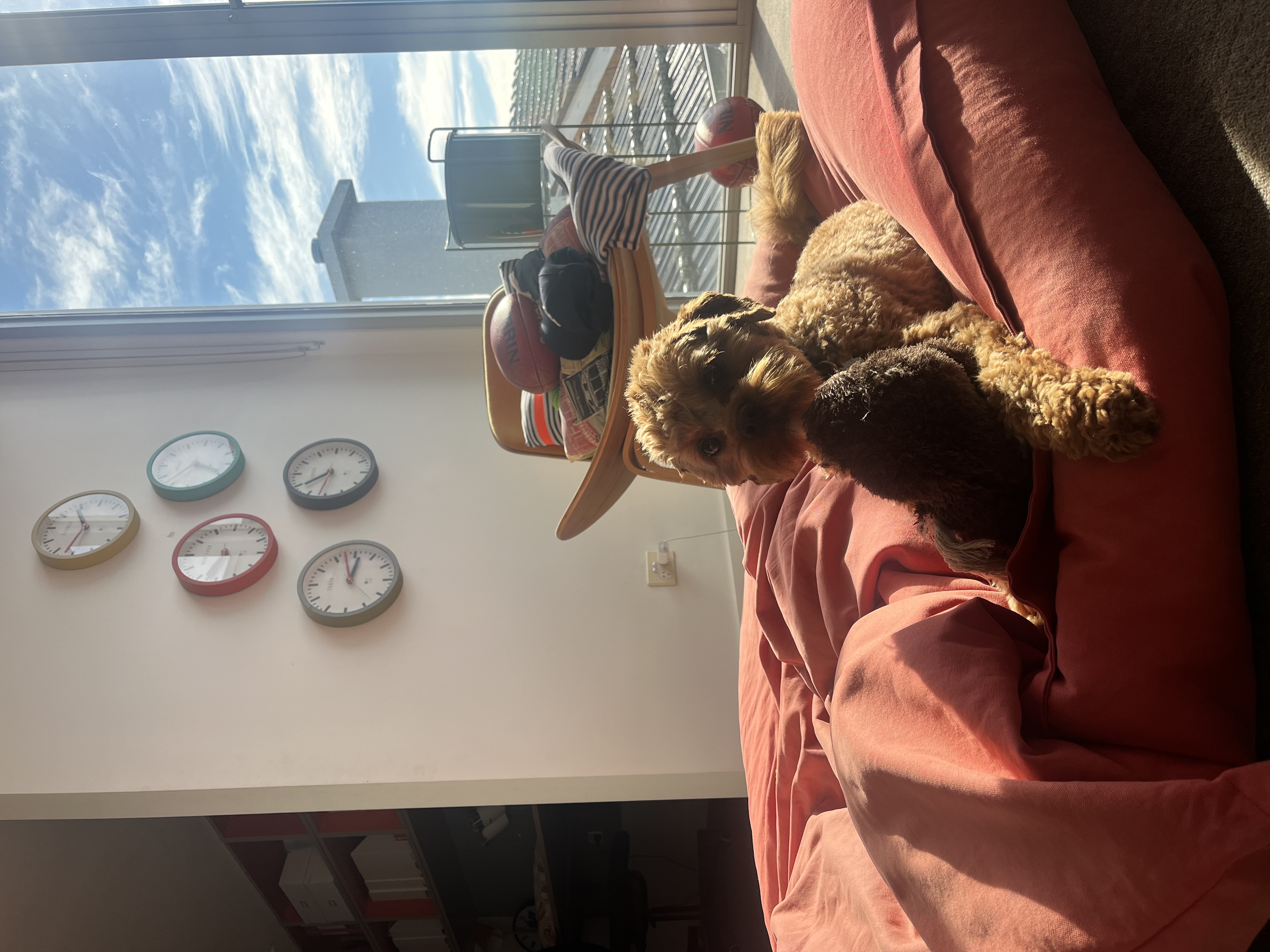 image-12