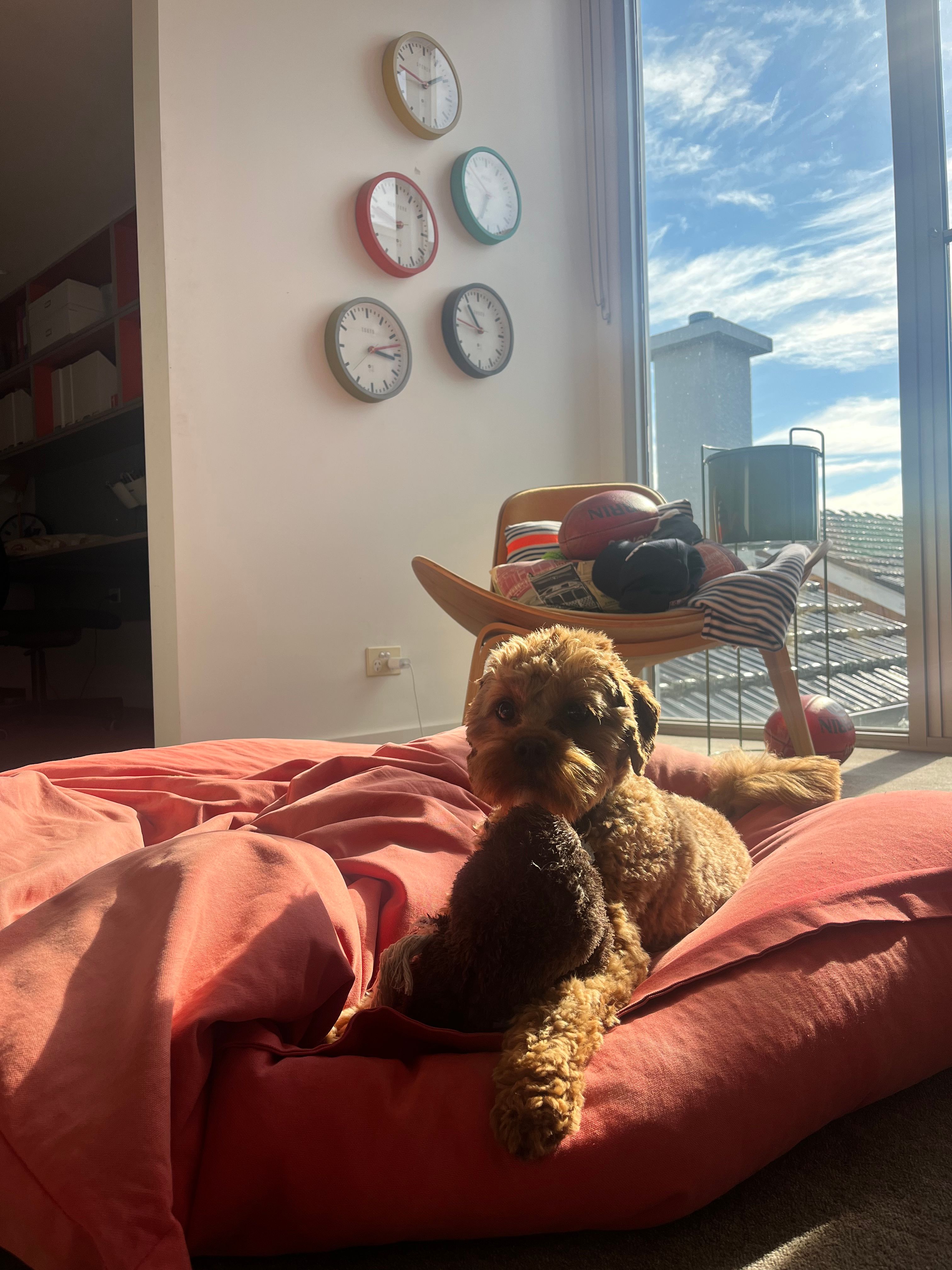 image-12