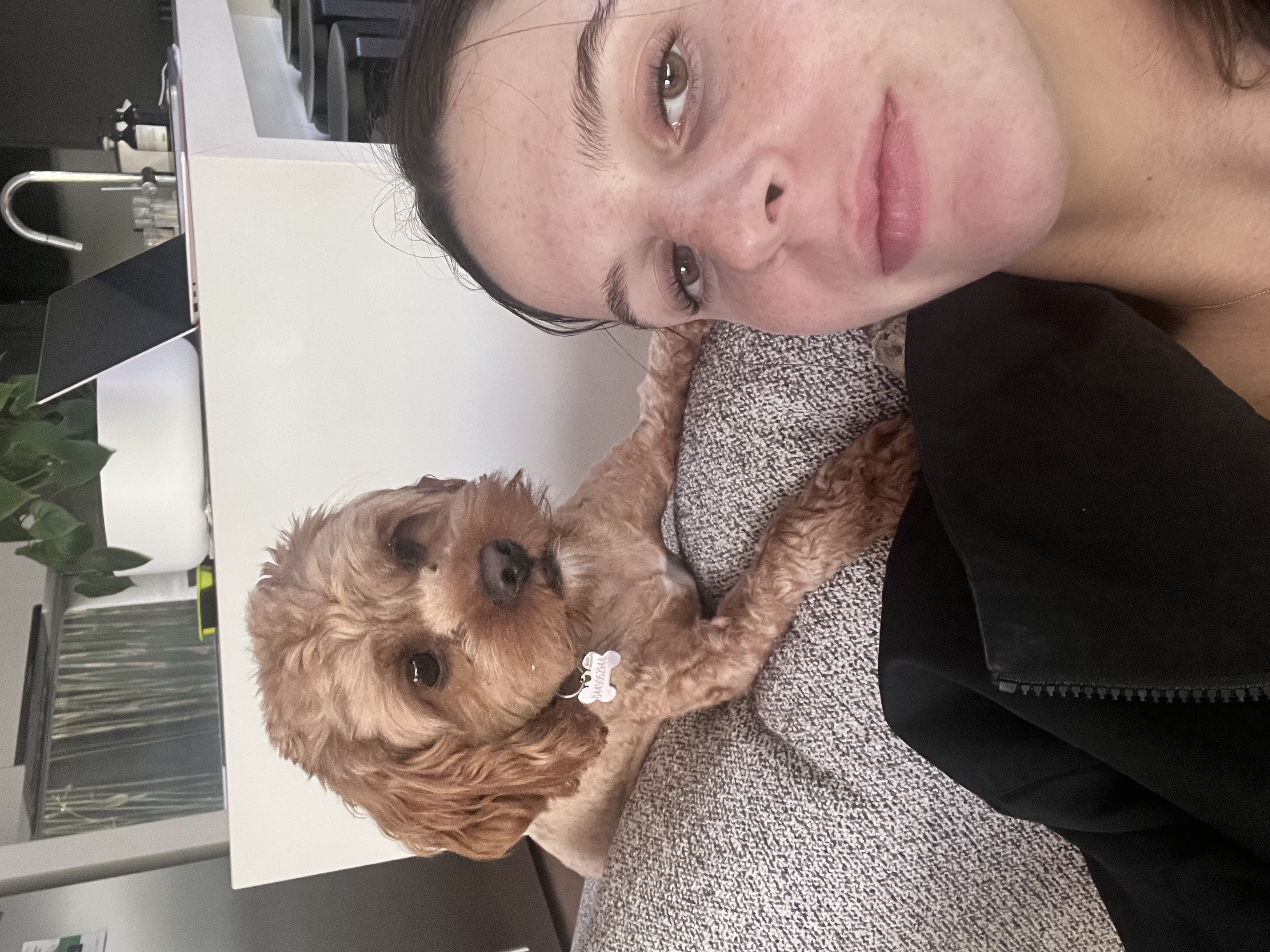 image-7