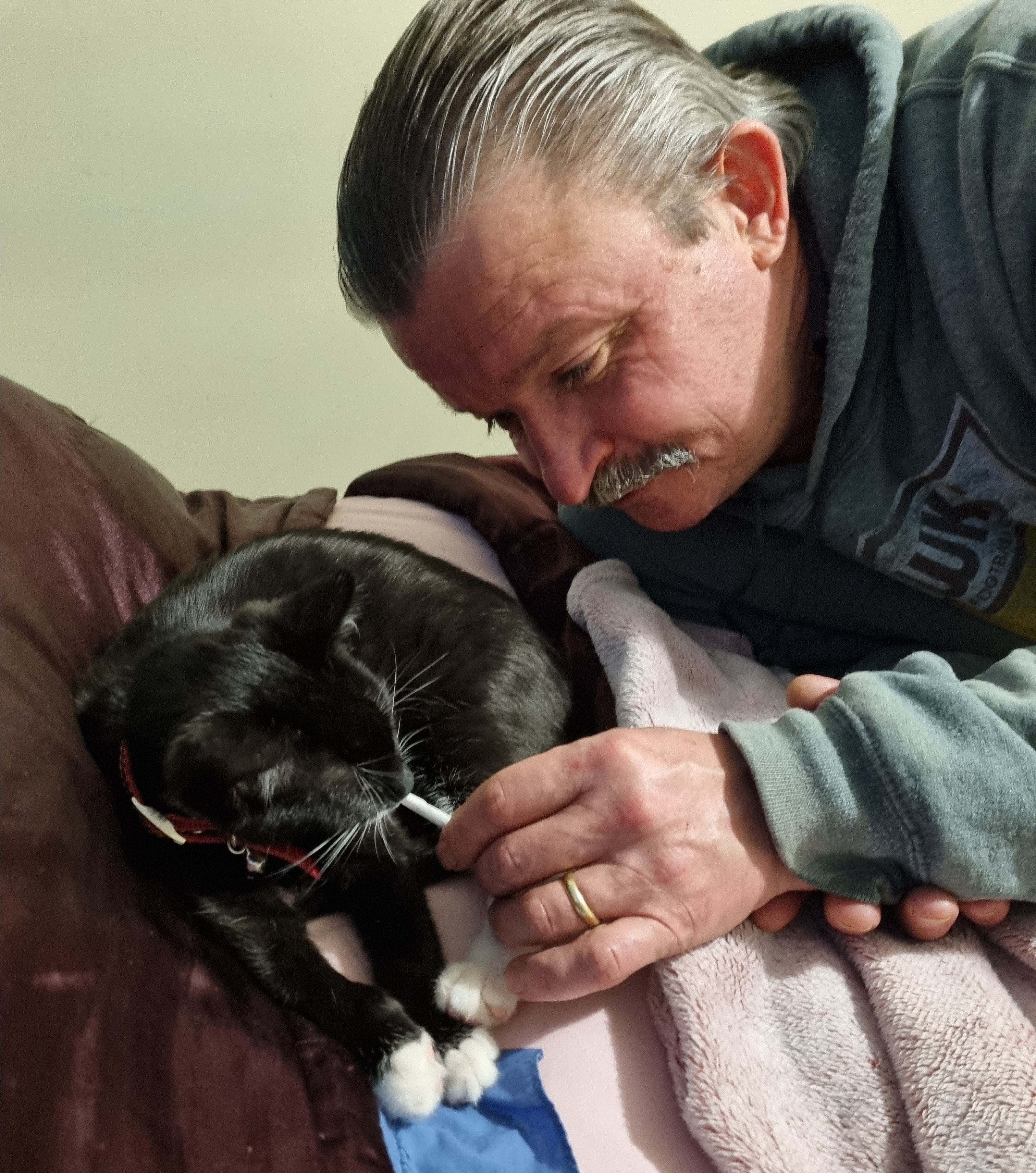 image-8