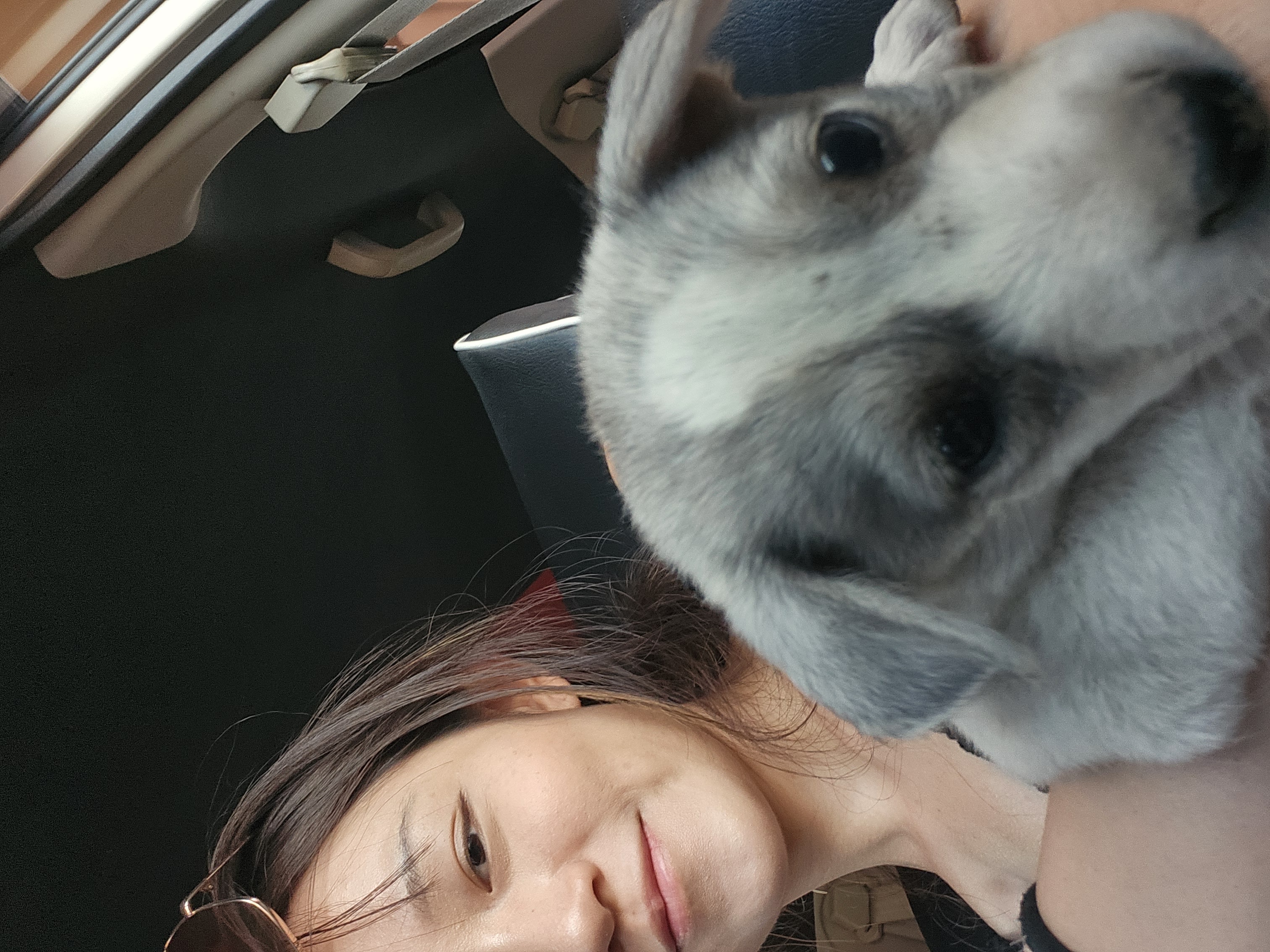 image-9