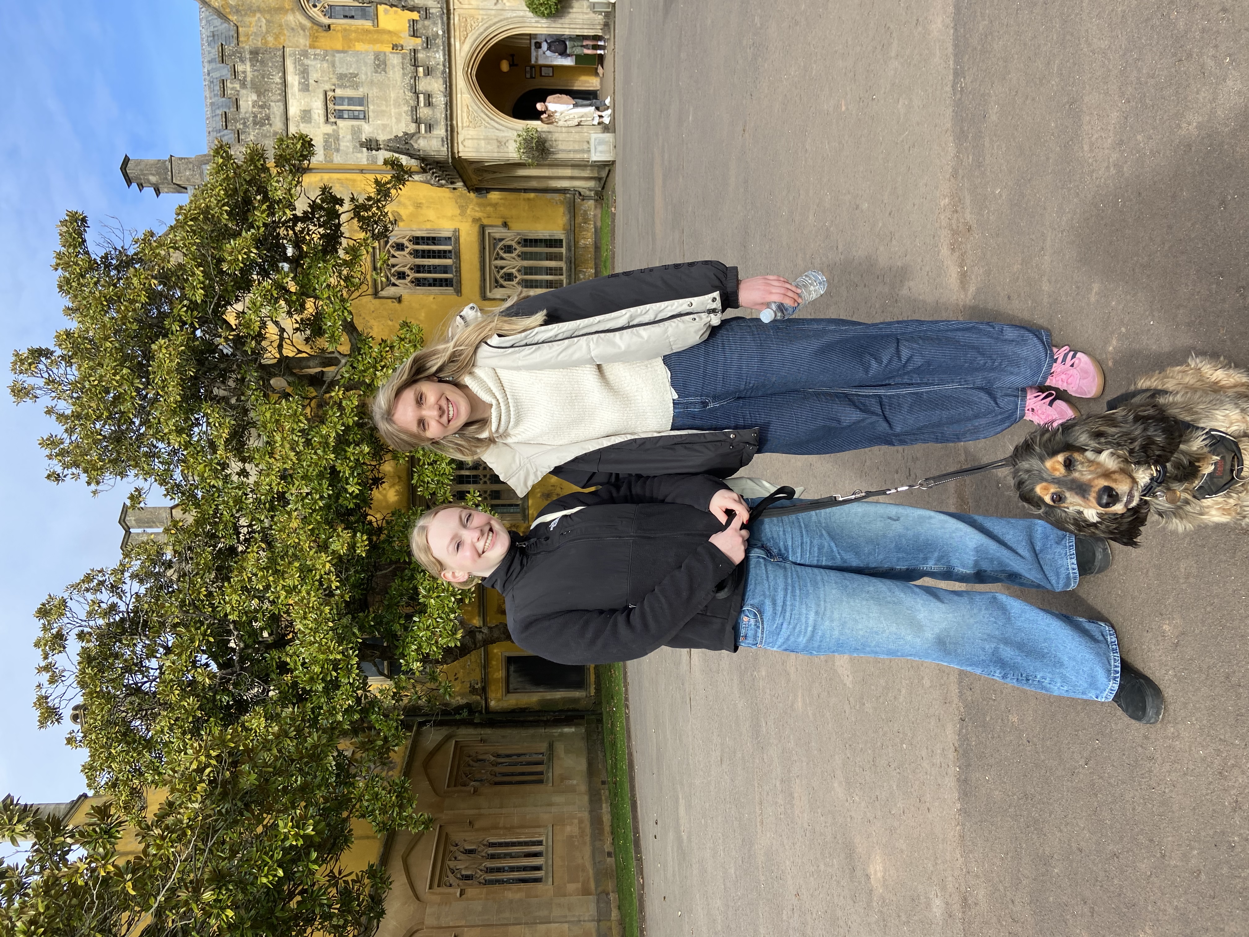 image-7