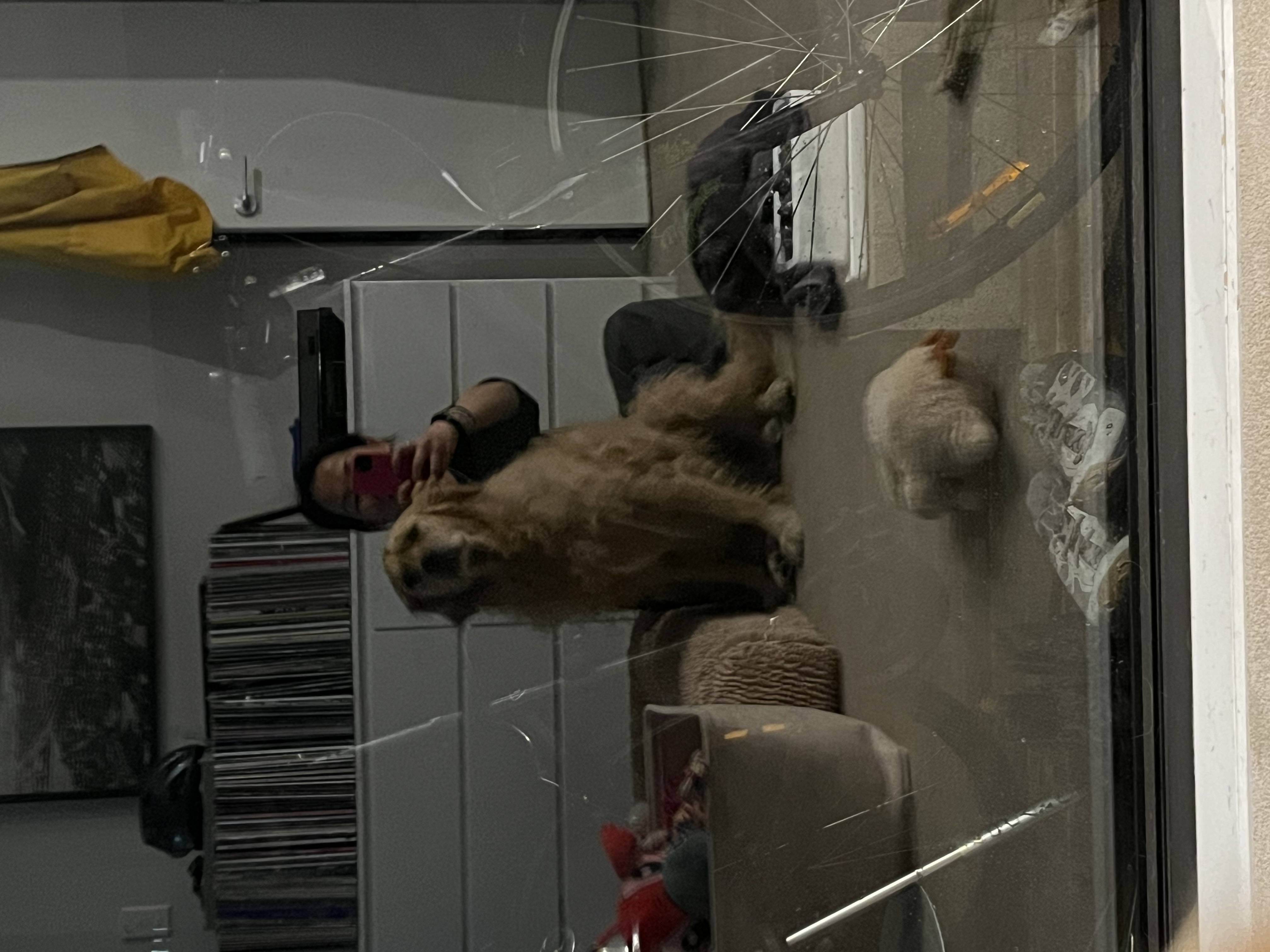 image-11