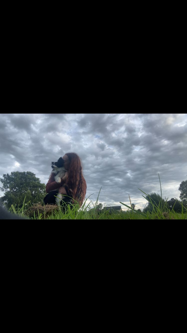 image-8