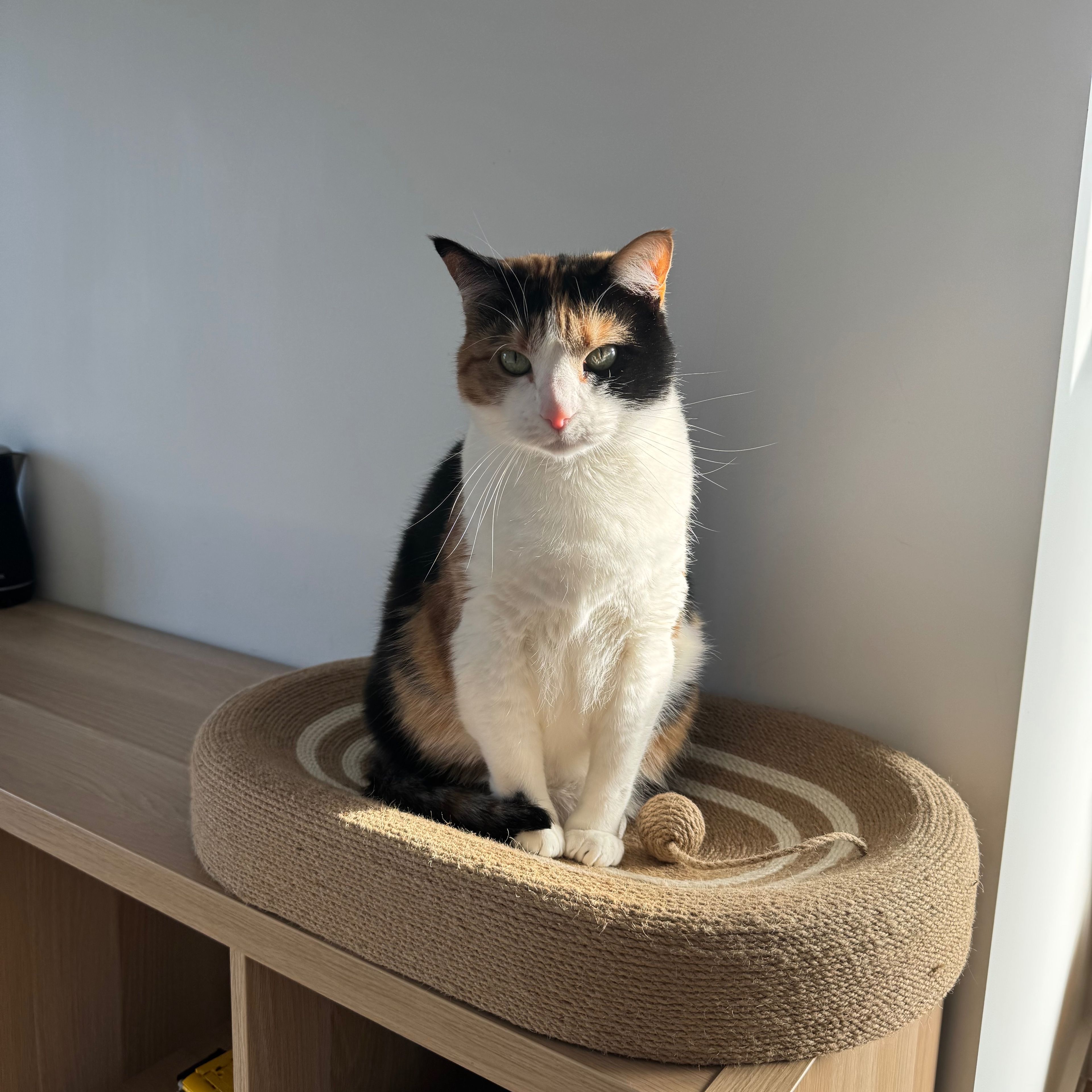 Caramel