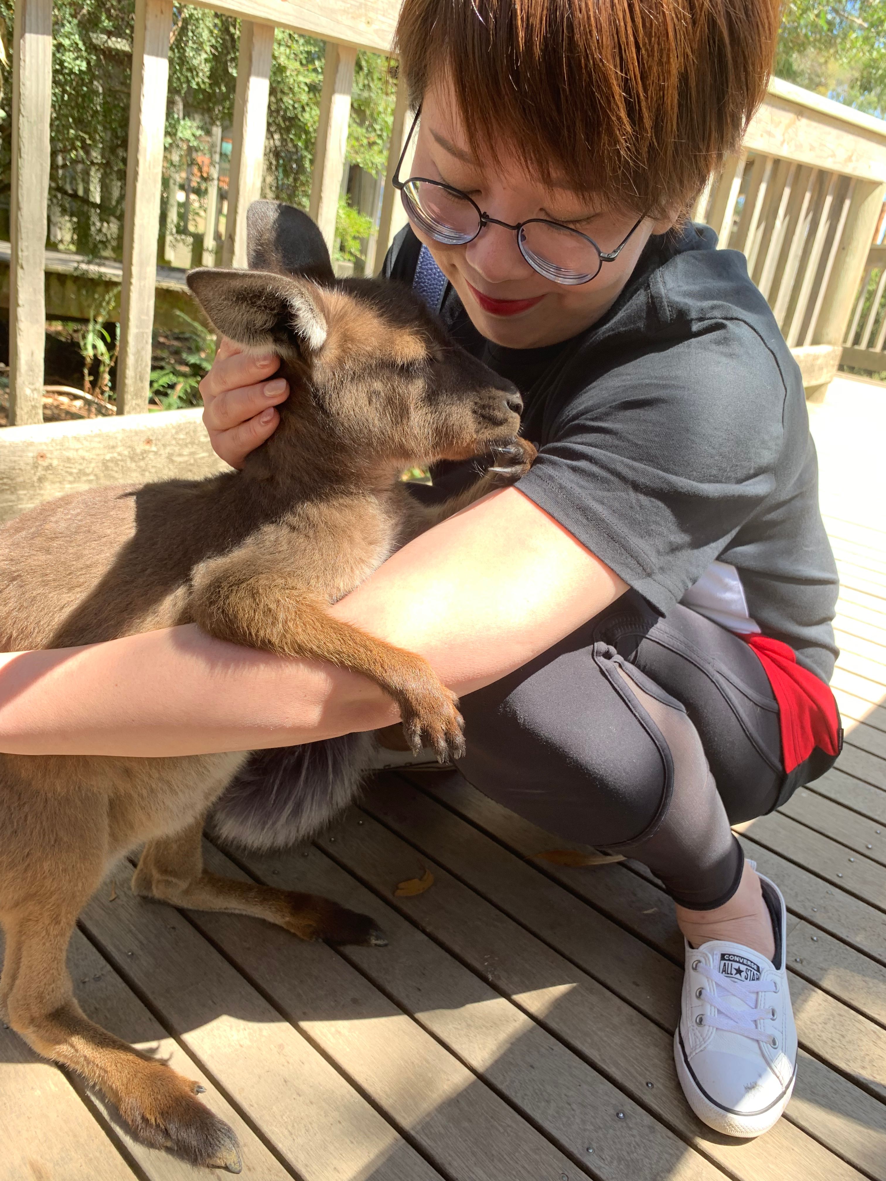 image-12