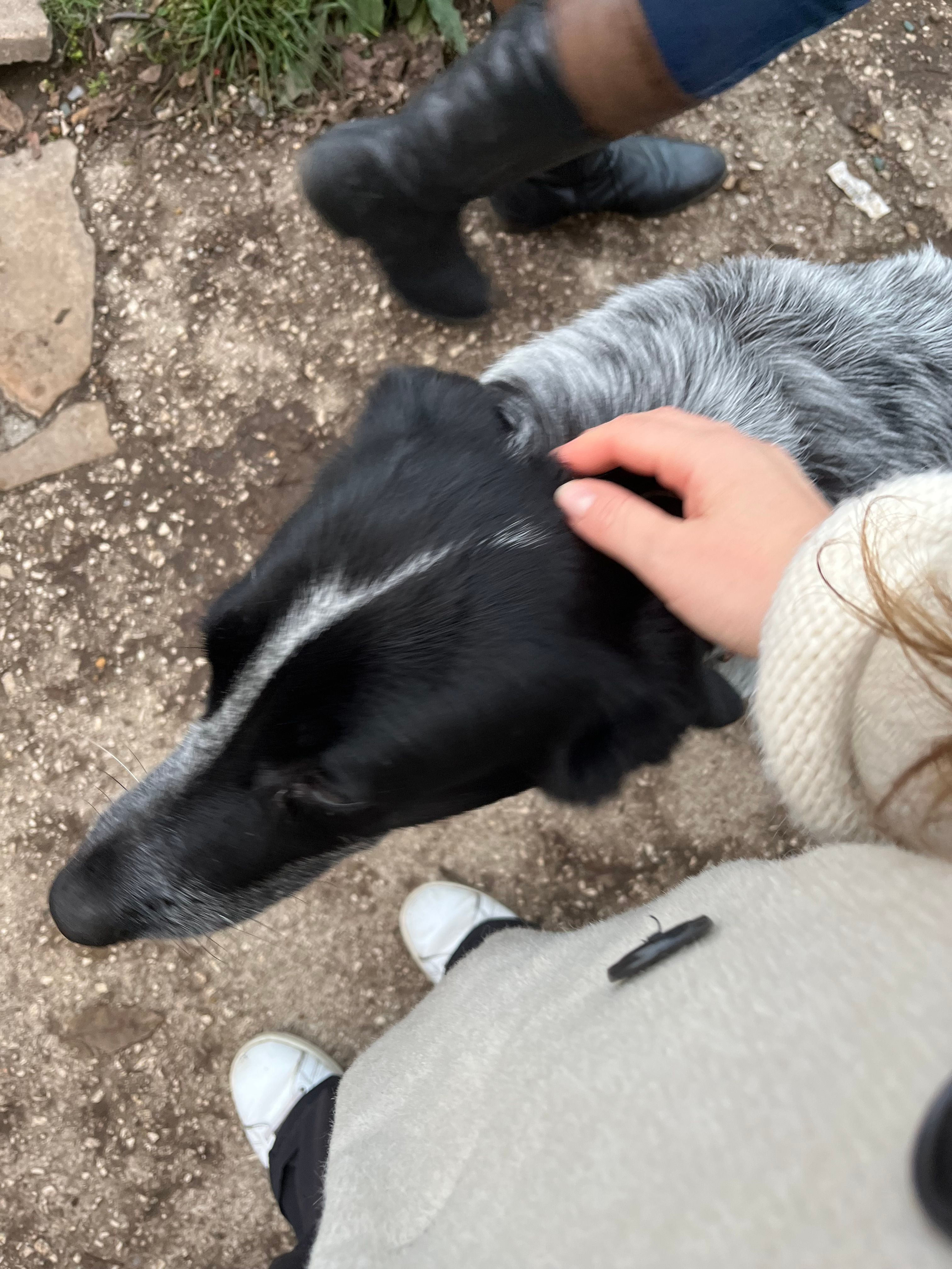 image-16