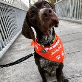 Matteo