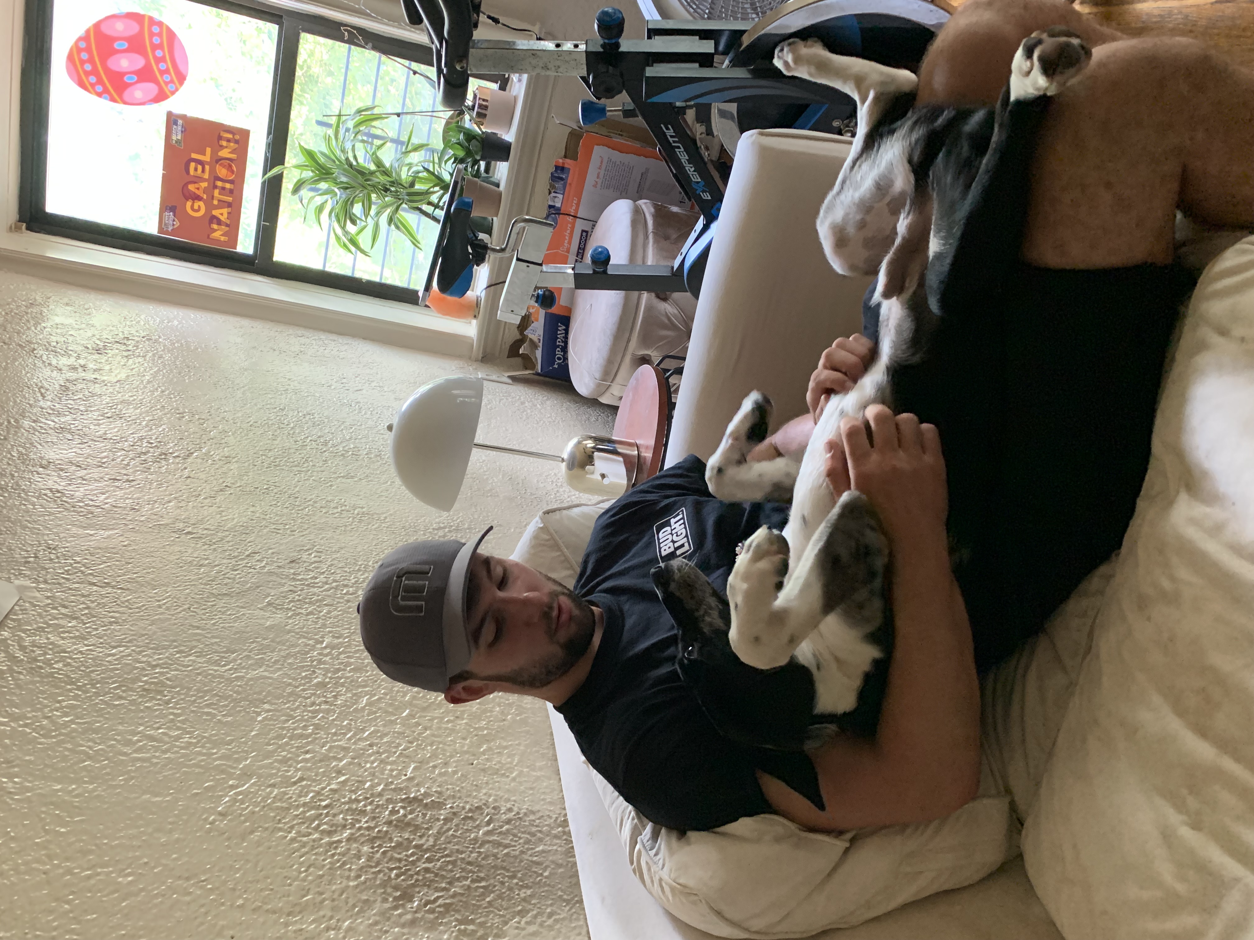 image-11