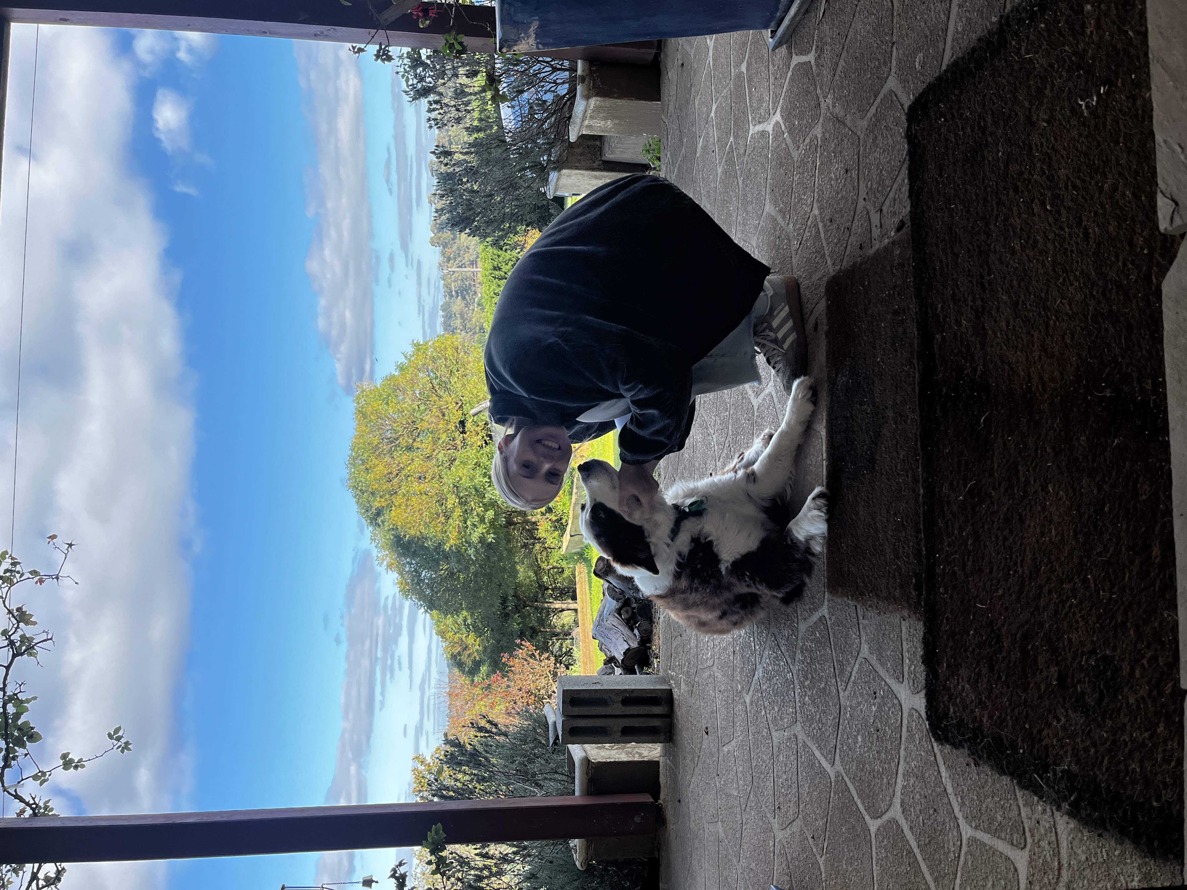 image-7