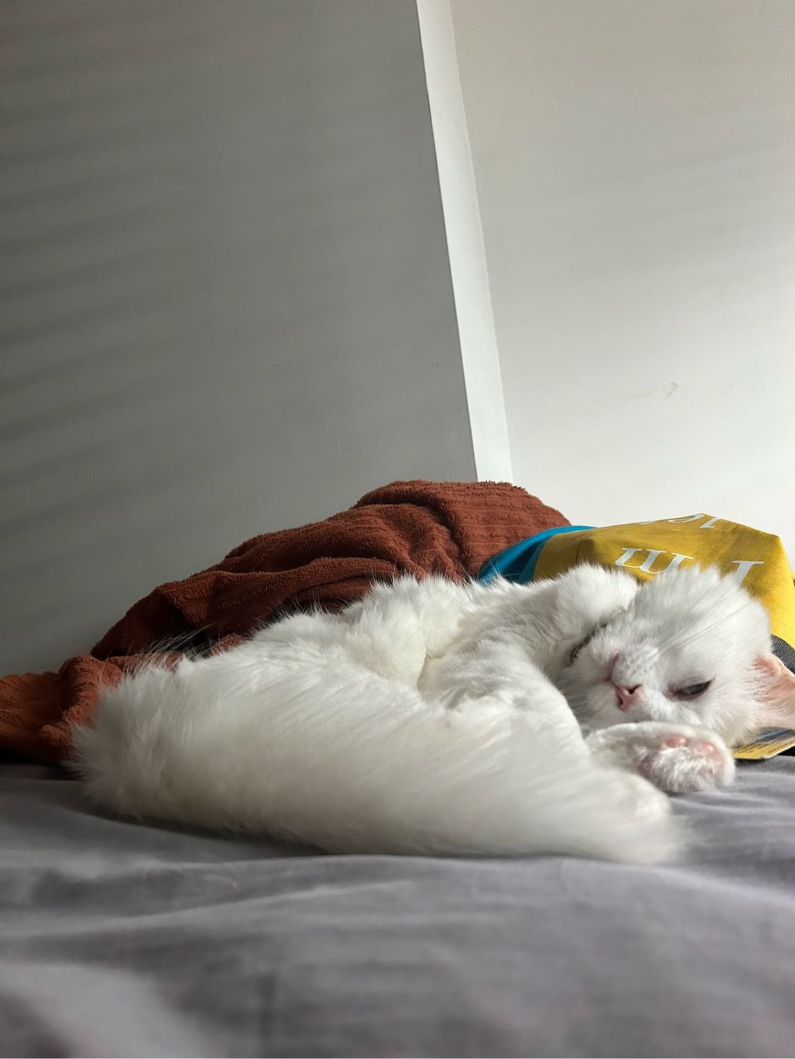 image-5