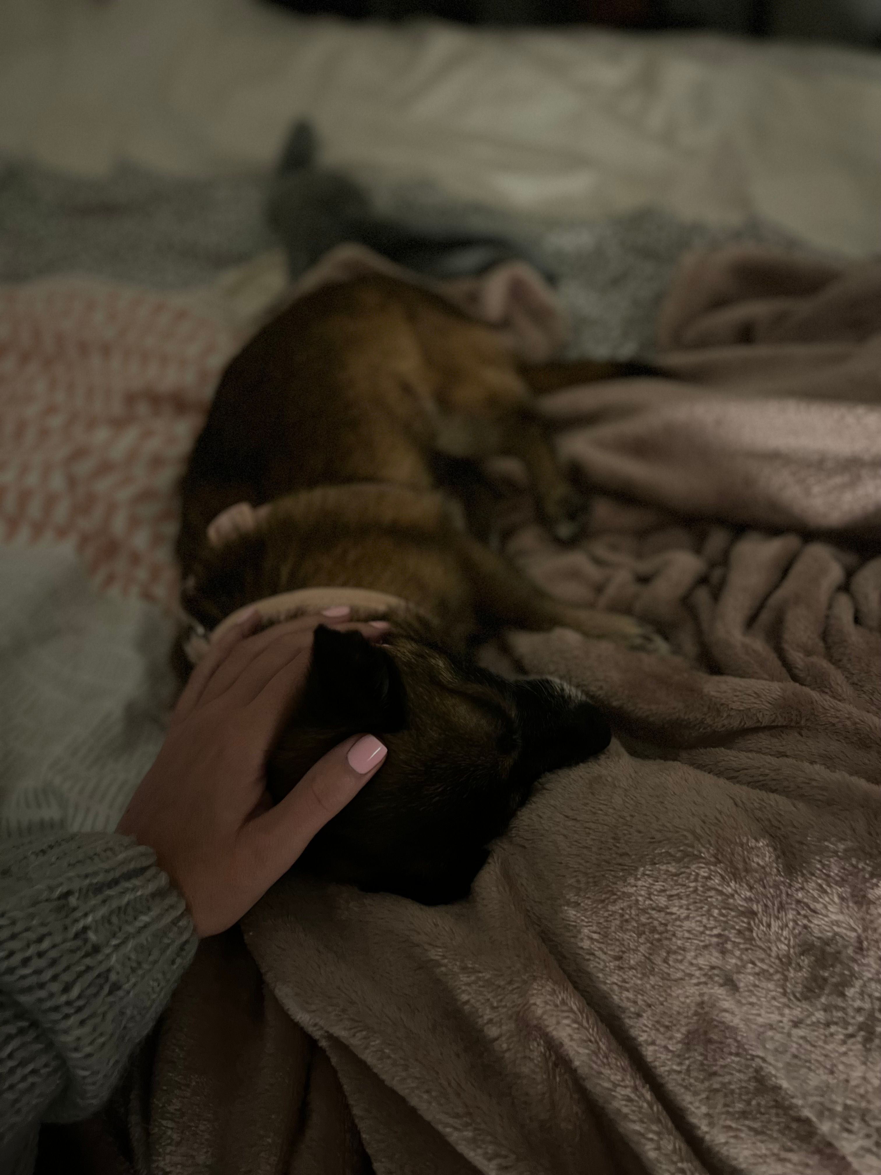 image-16