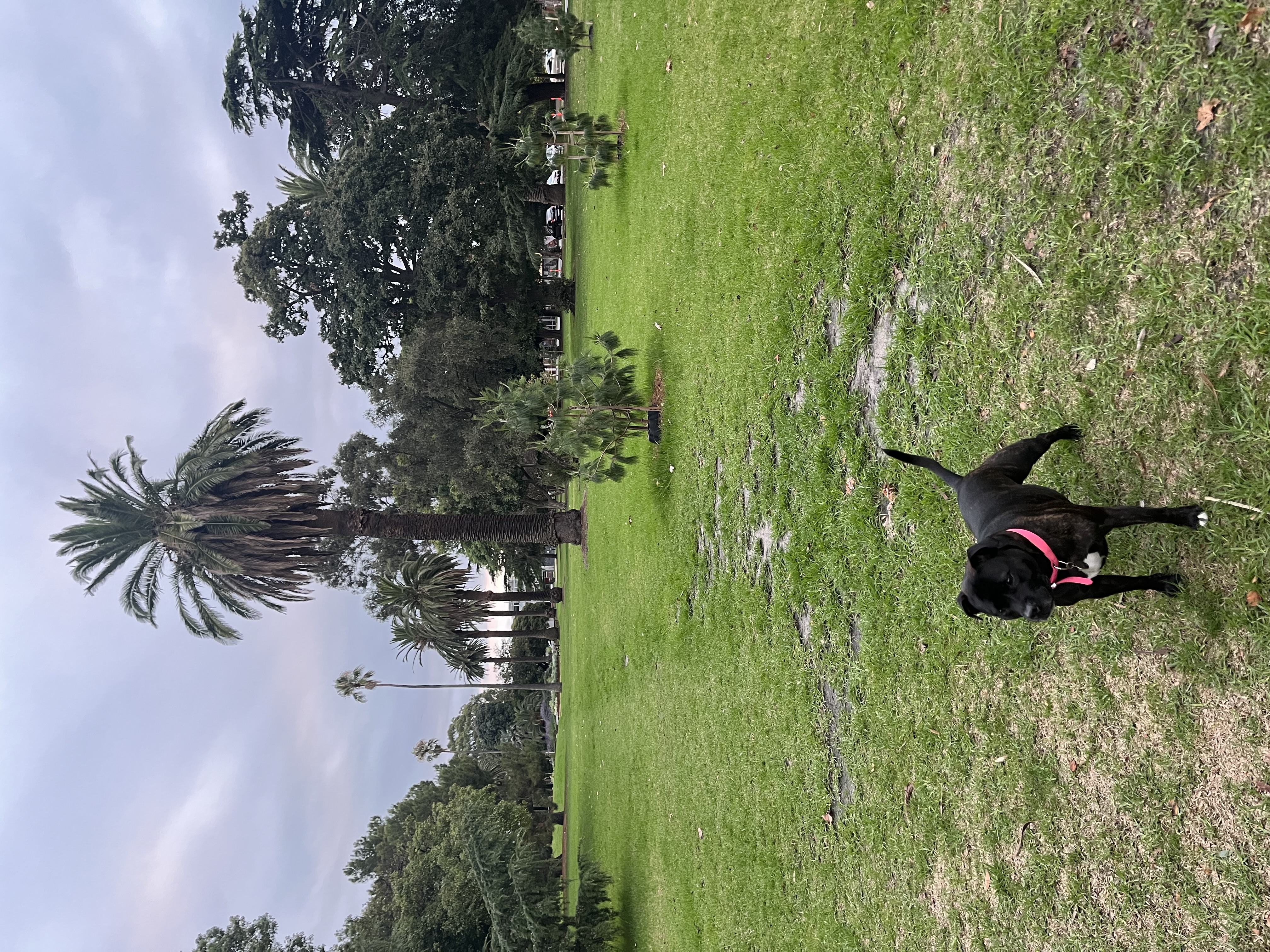 image-10