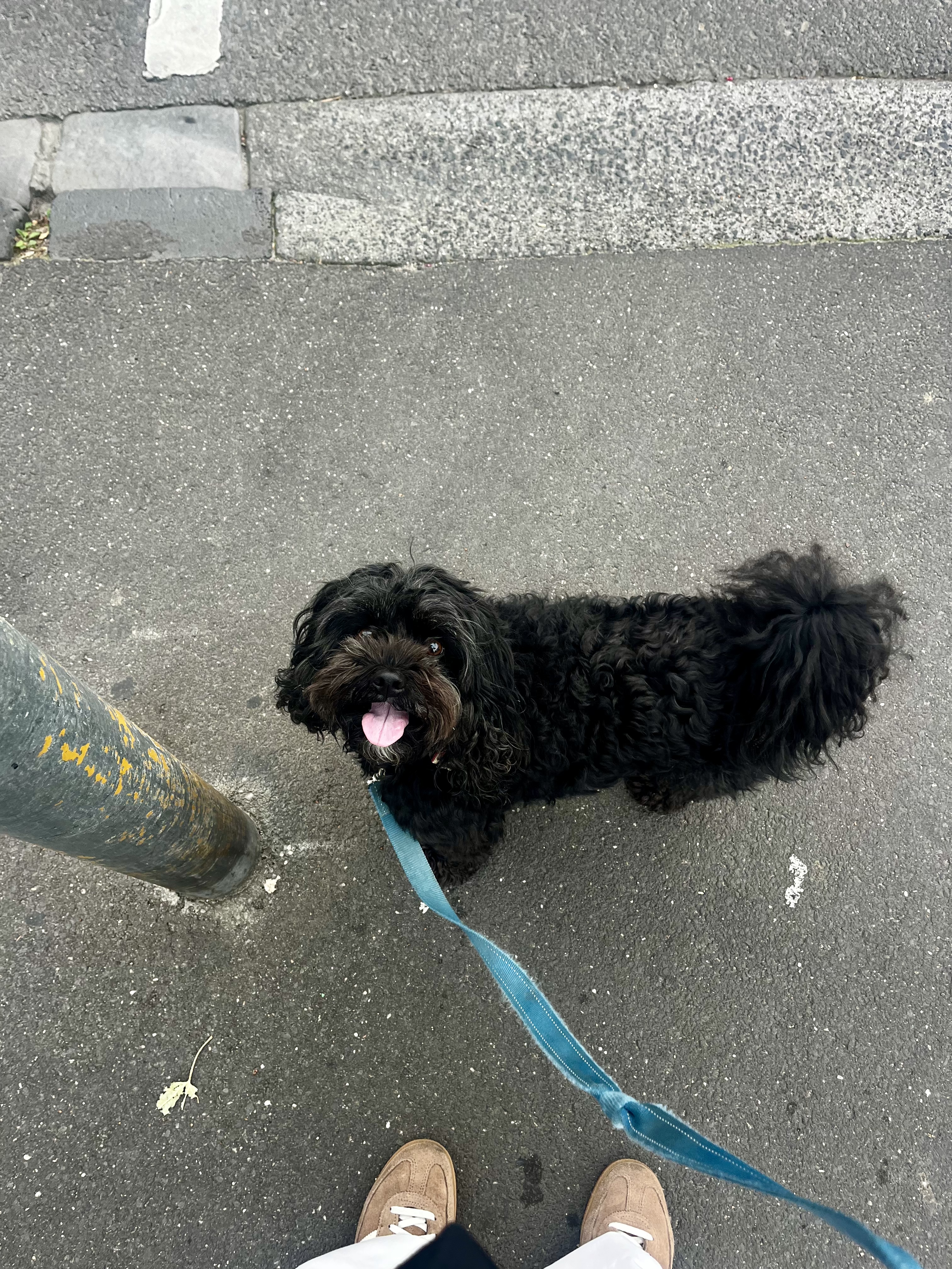image-7
