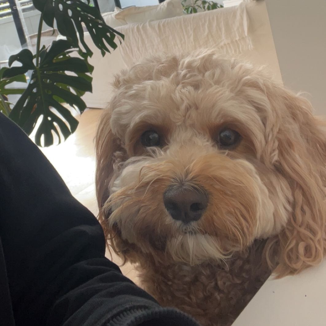 Ralph 