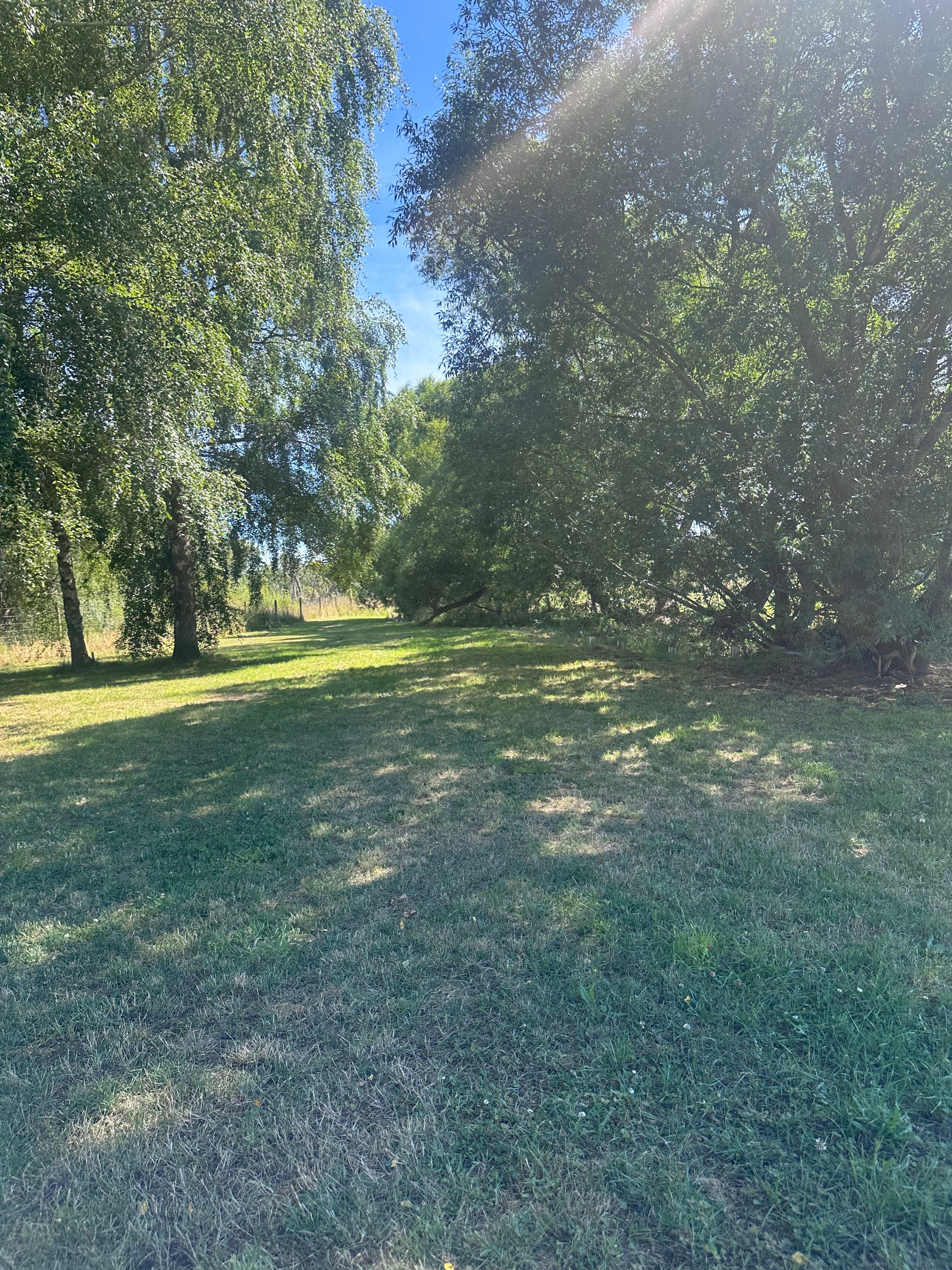 image-14