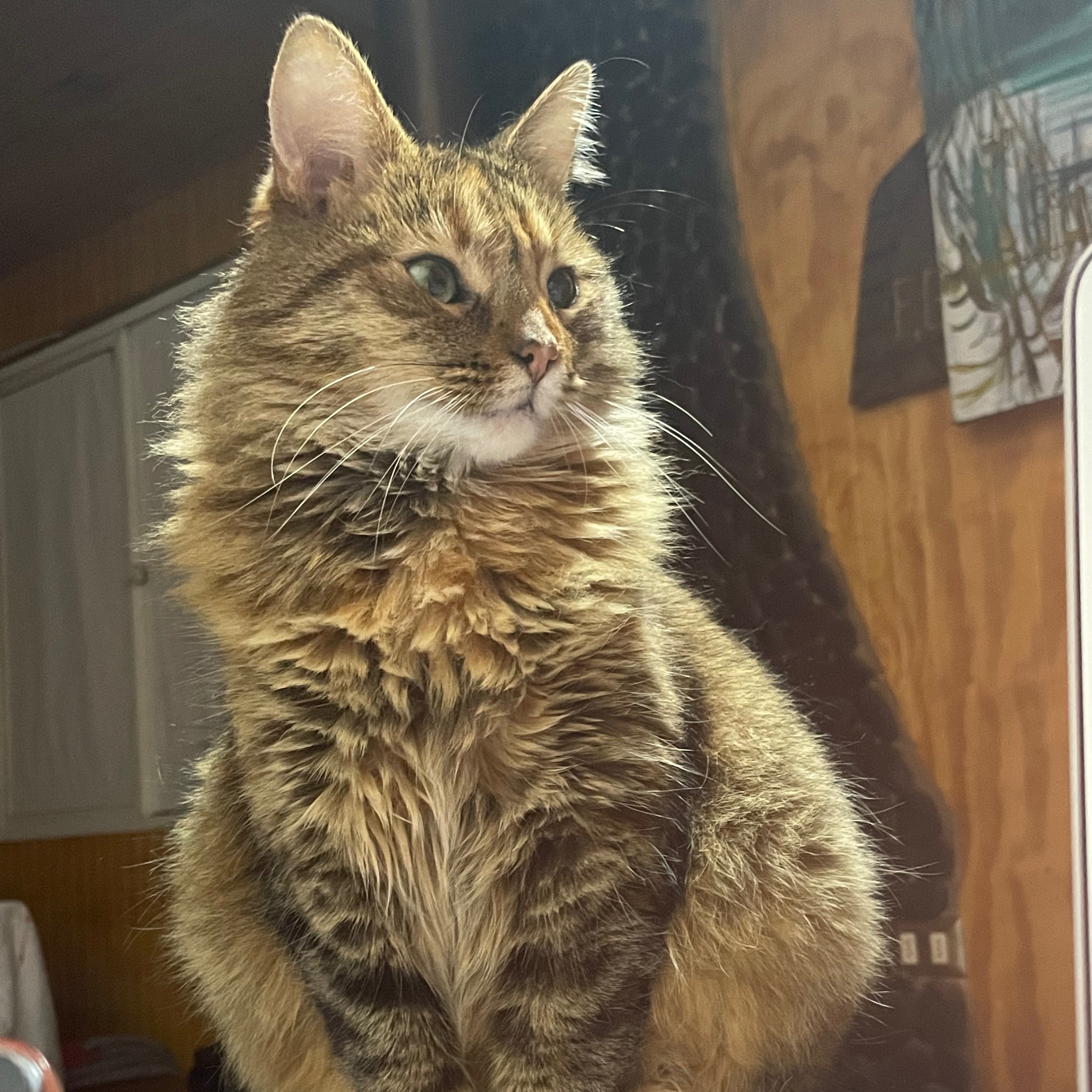 Rita
