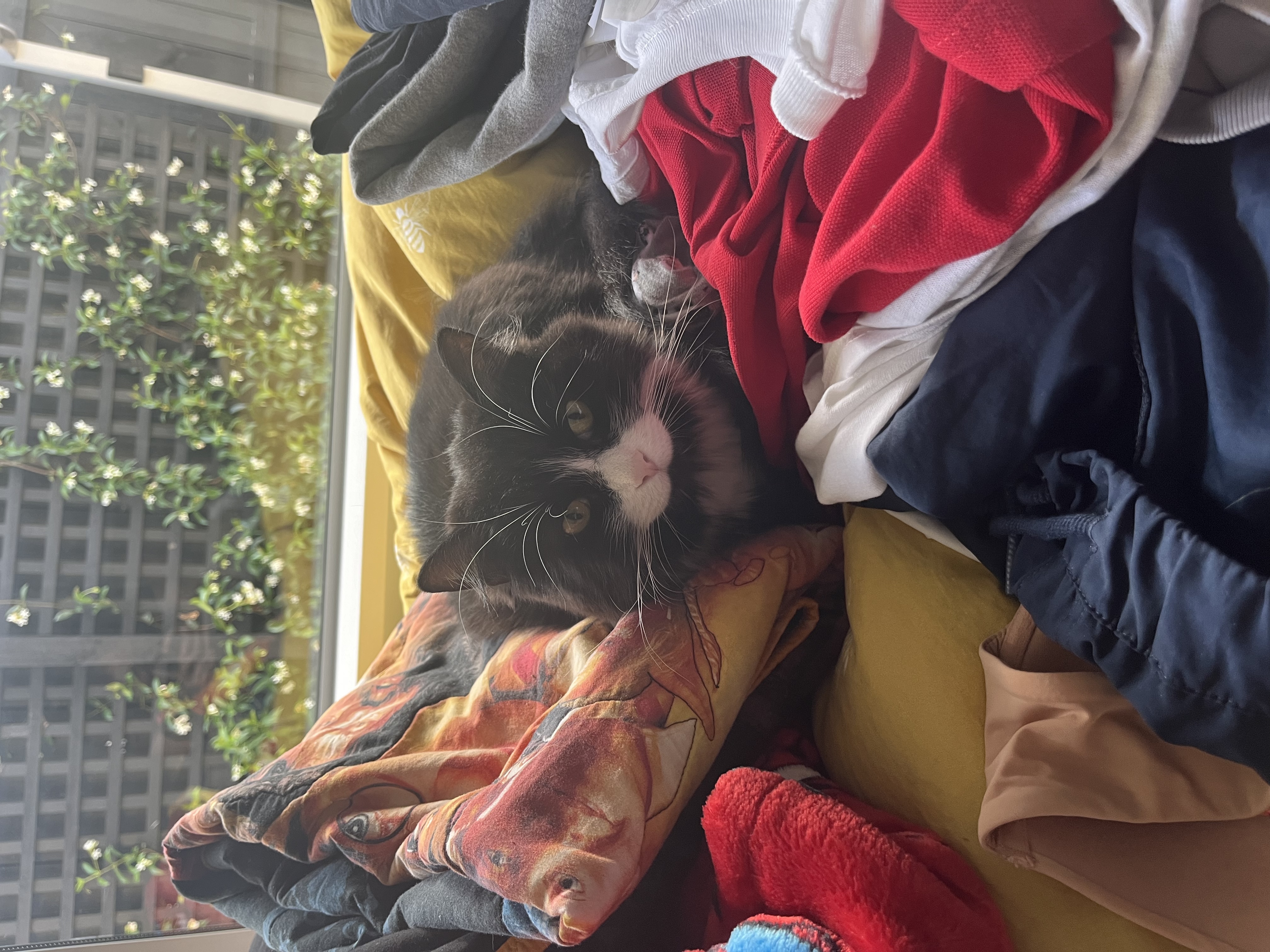 image-6