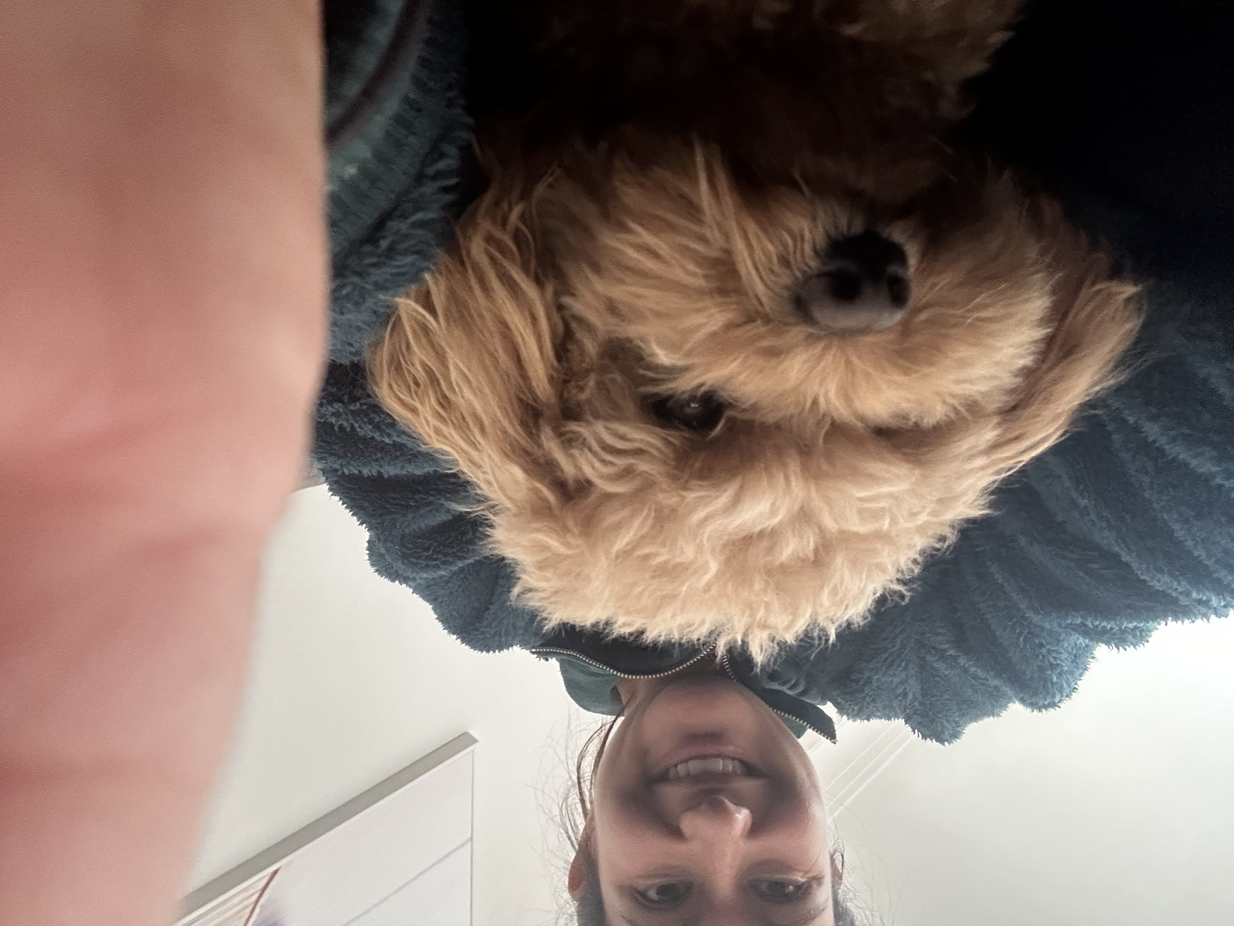 image-8