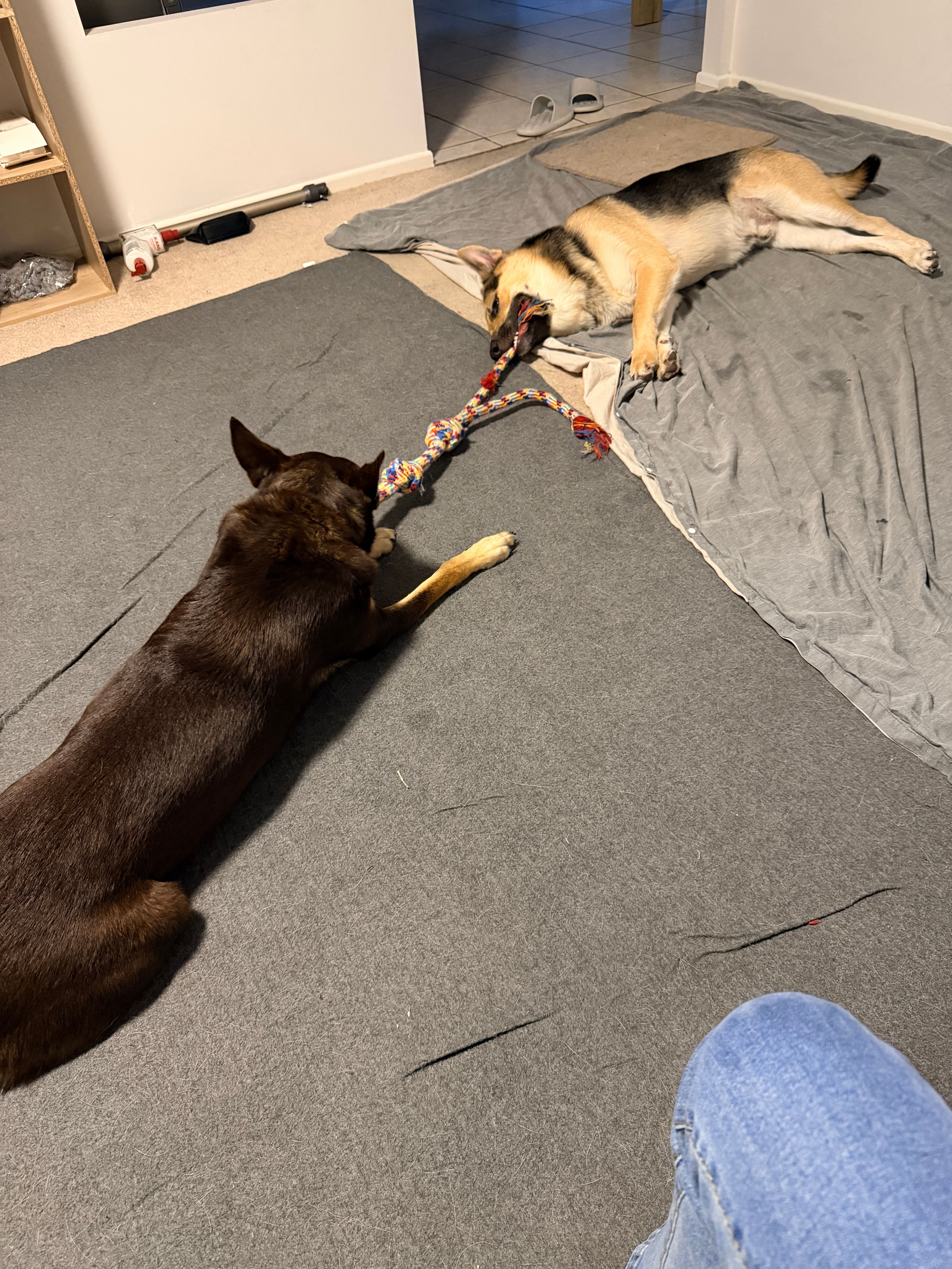 image-34