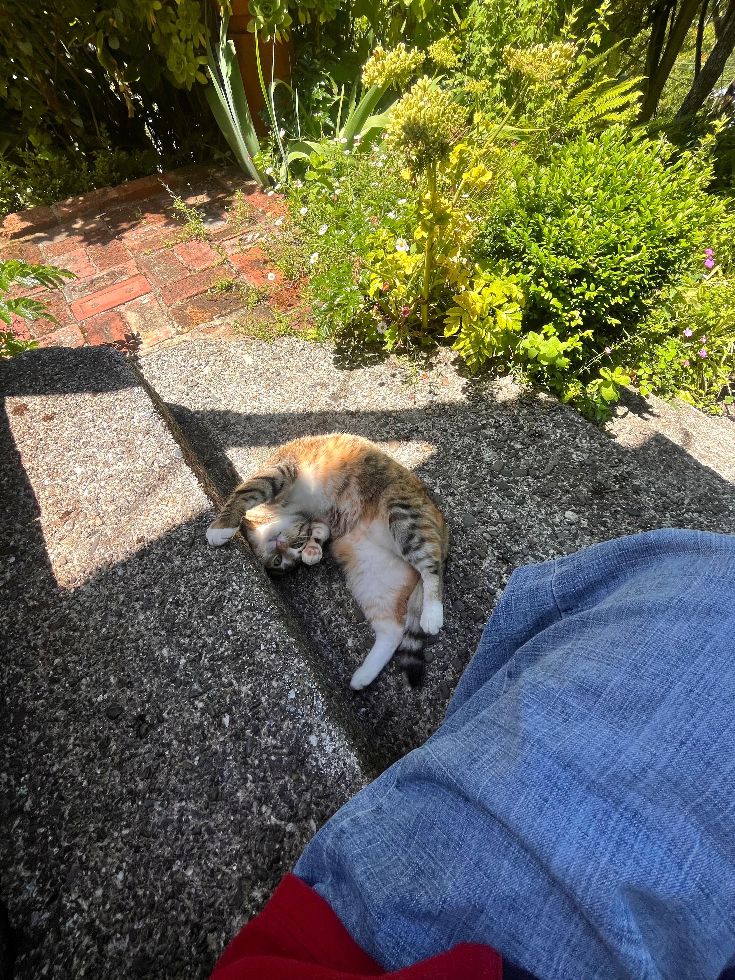 image-10