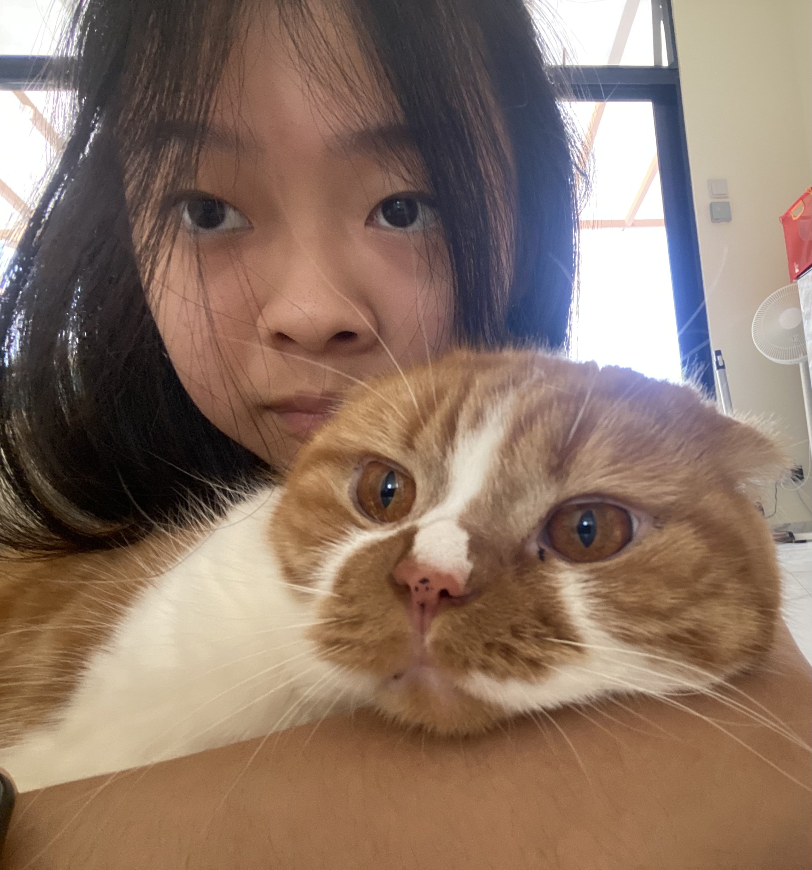 image-6