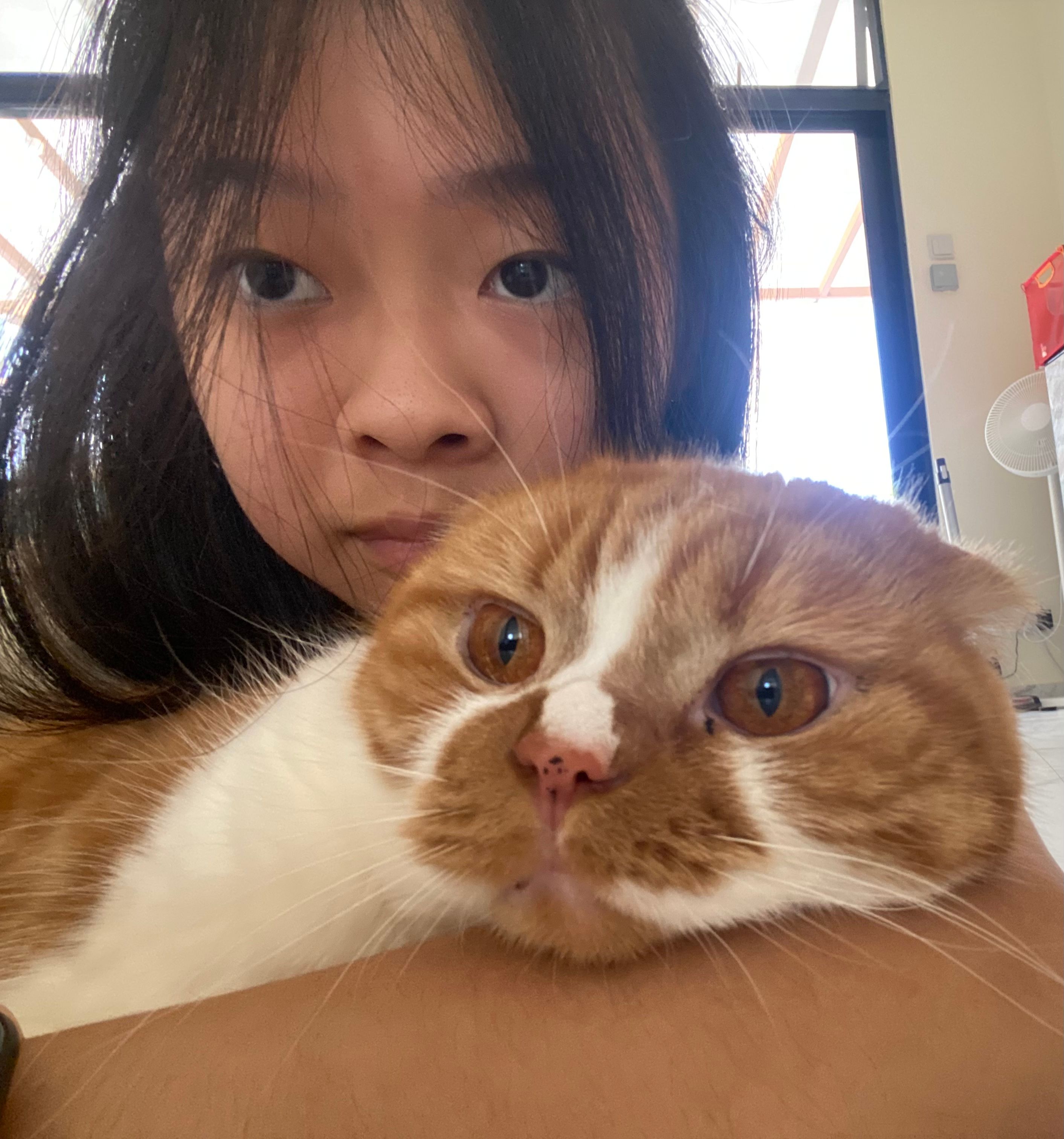 image-6