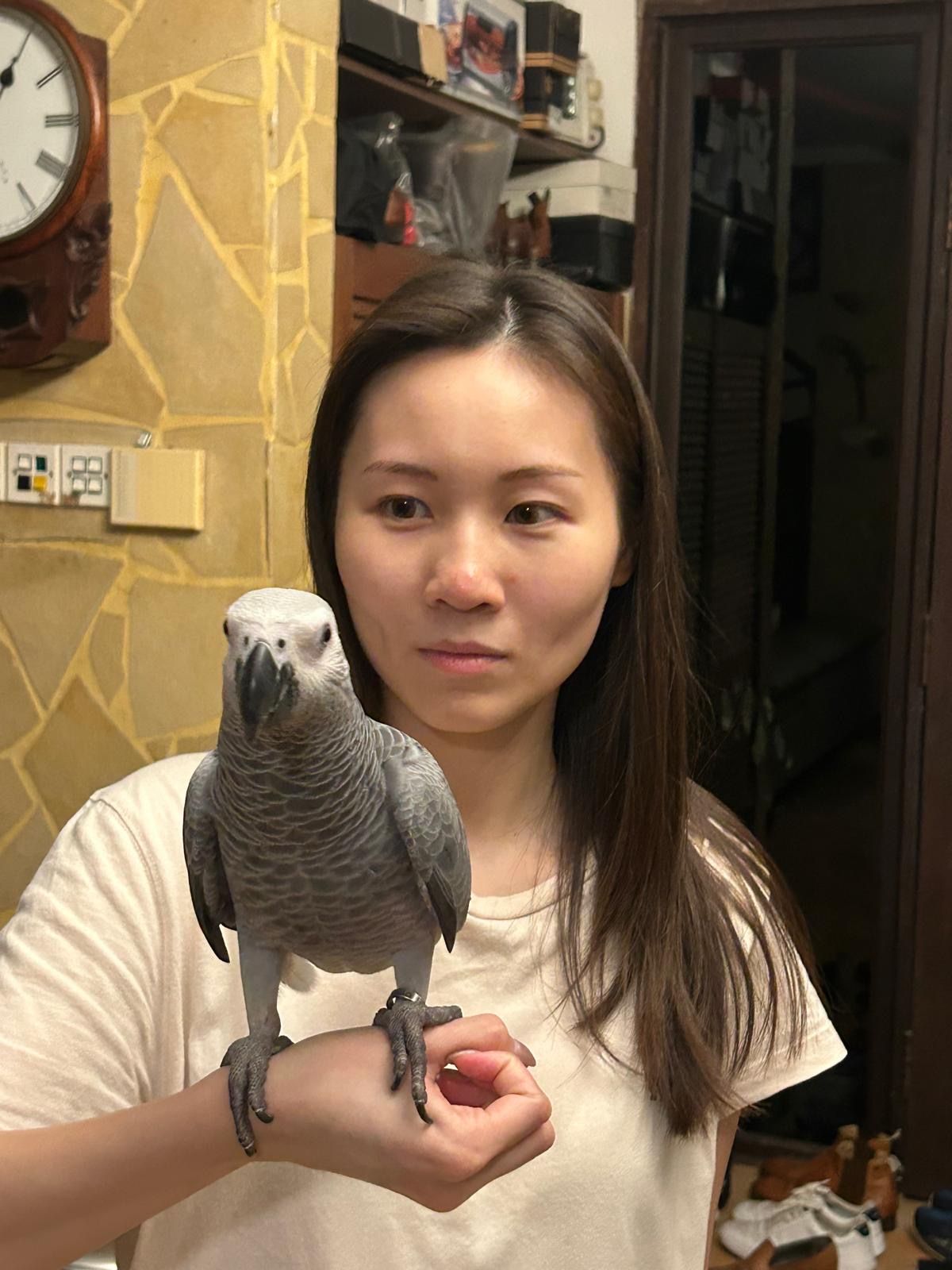 image-7