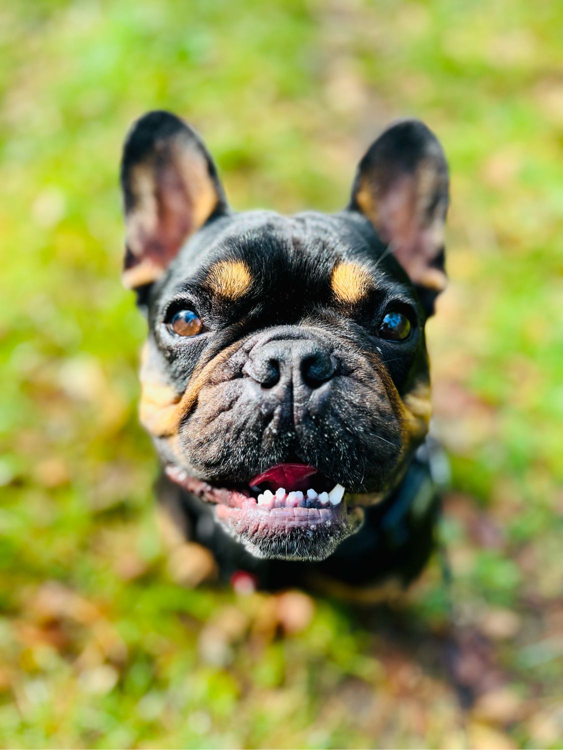 image-1