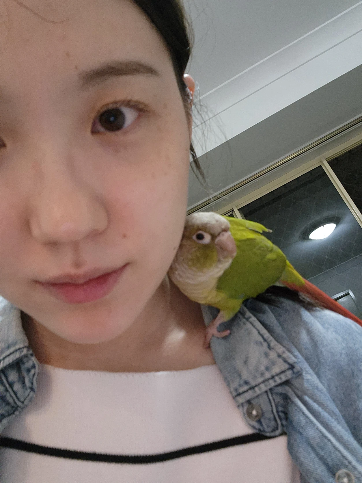 image-5