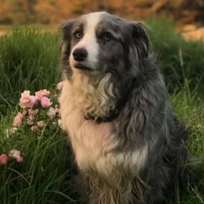 Finn