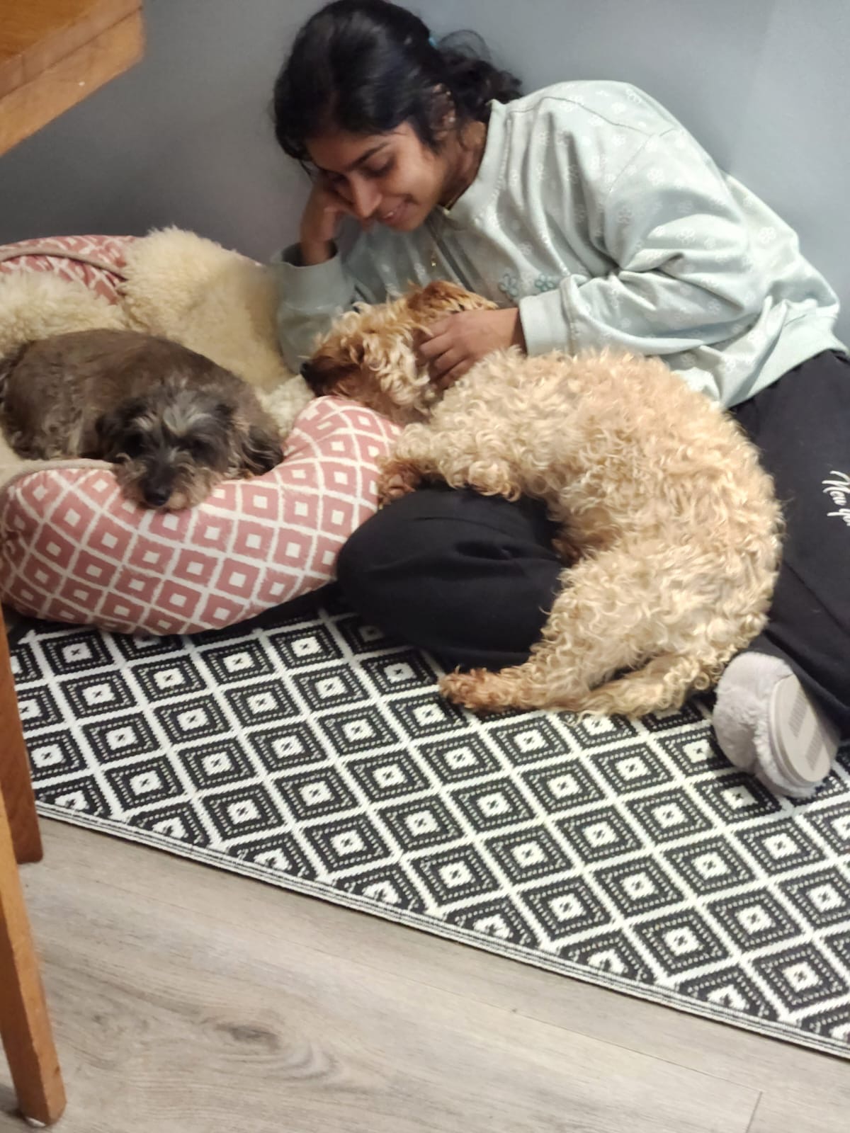 image-7