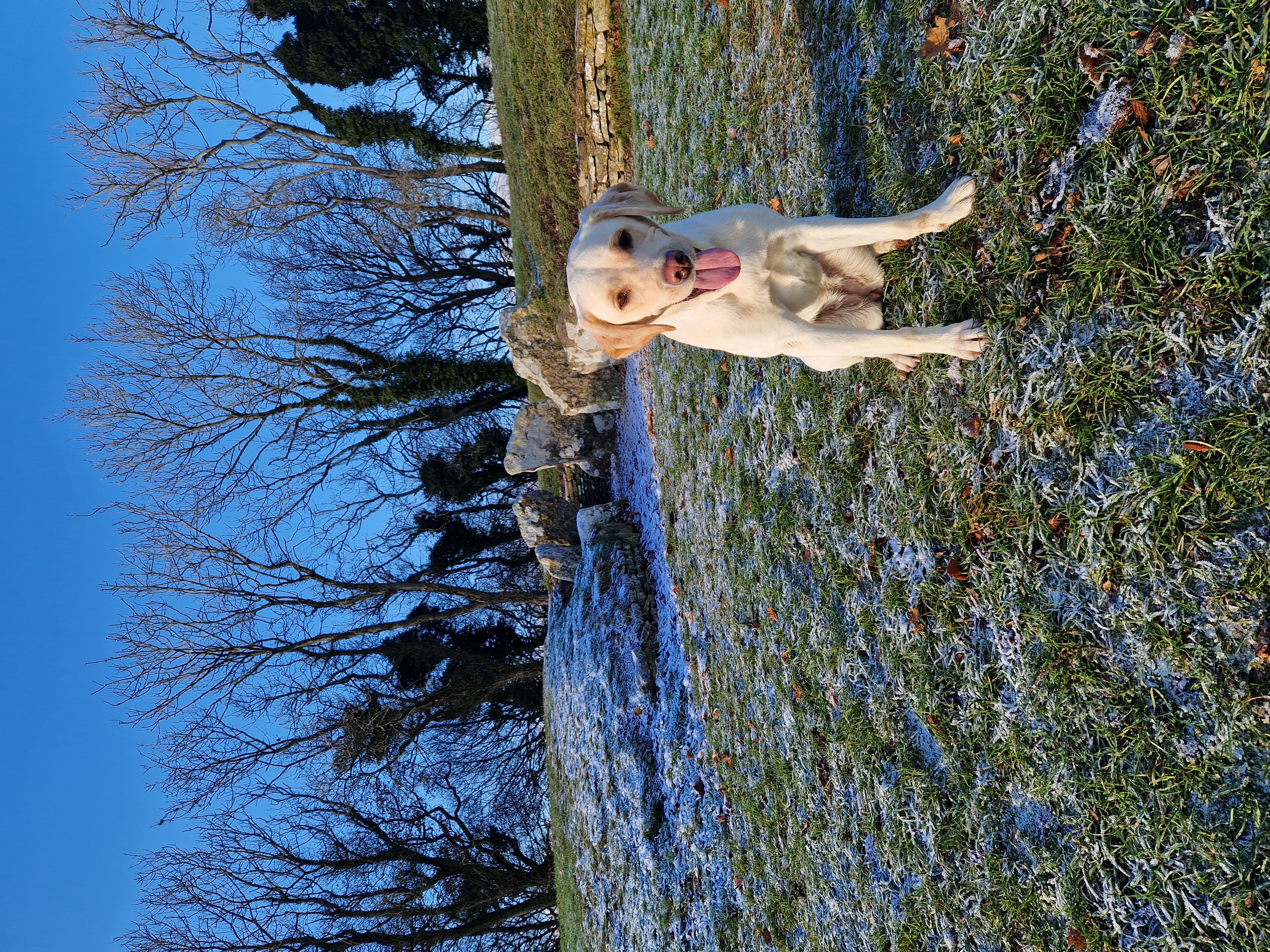 image-6