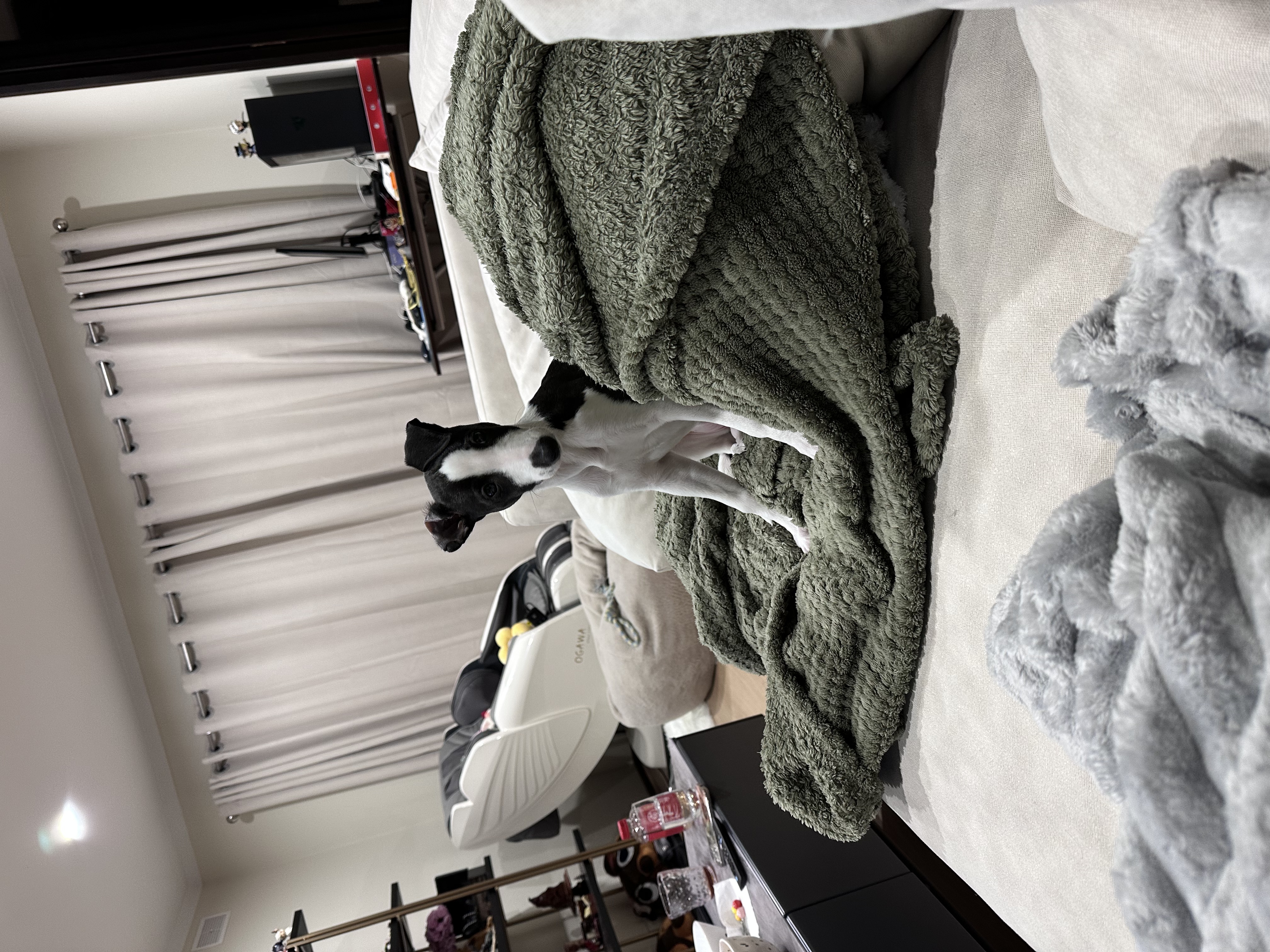 image-8