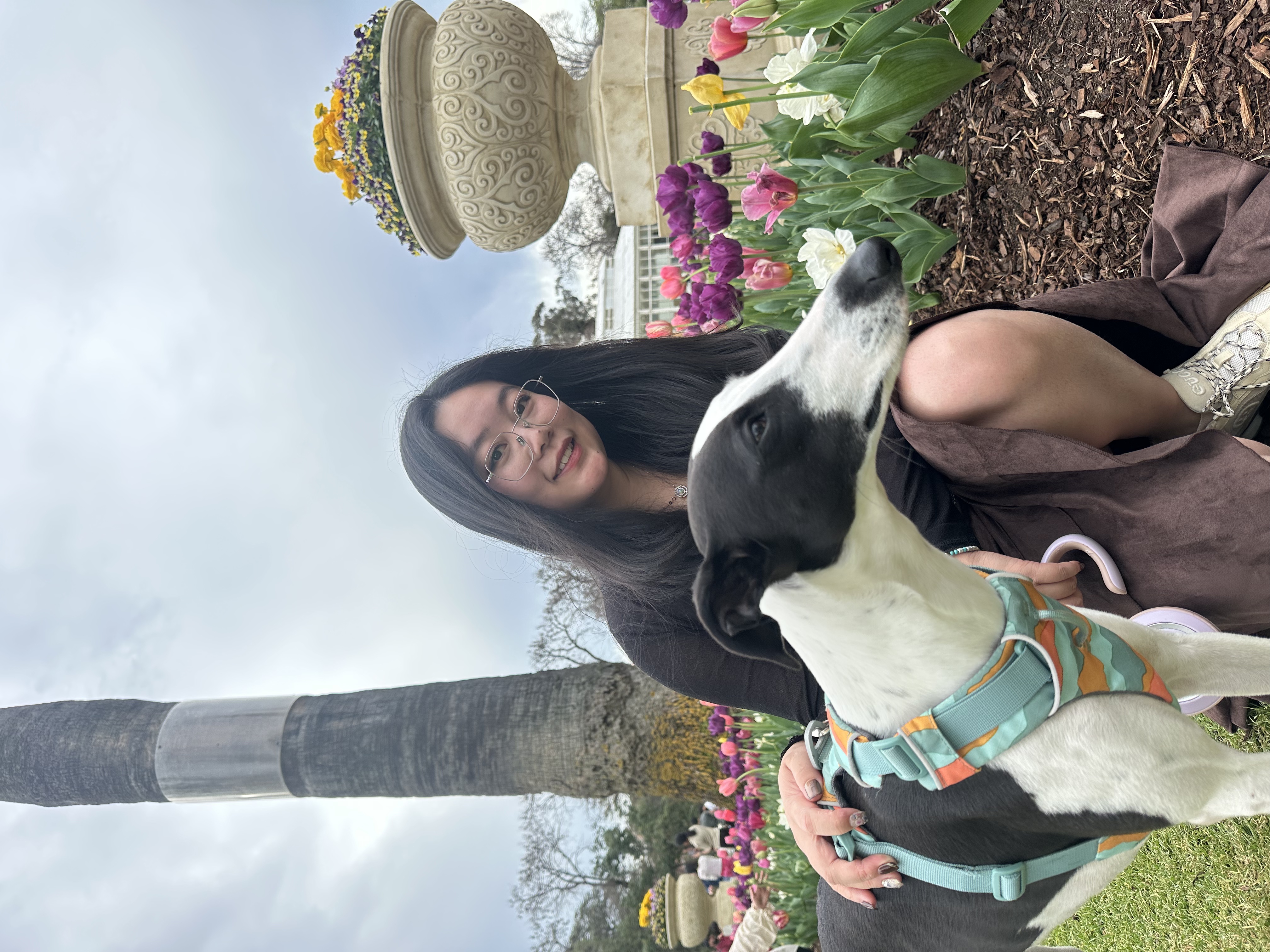 image-6