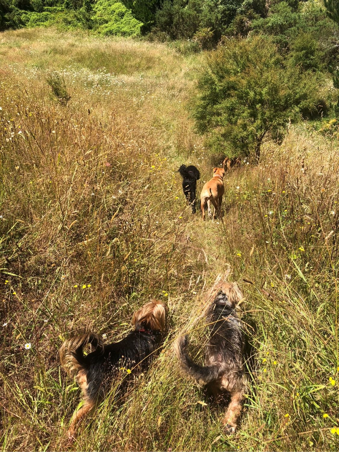 image-6